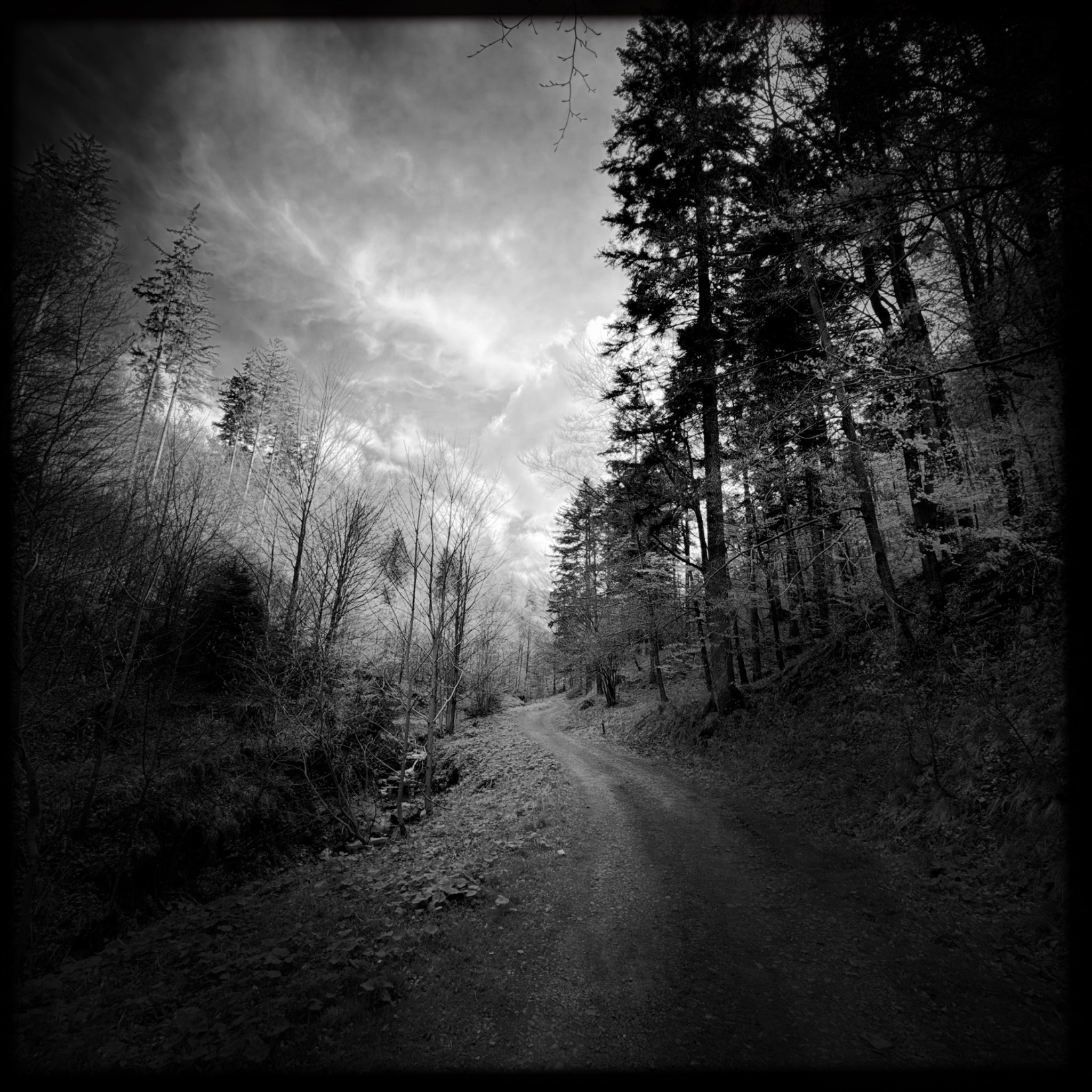 HMOriginal B64928C2 6657 4E5F 9189 882F785BB772