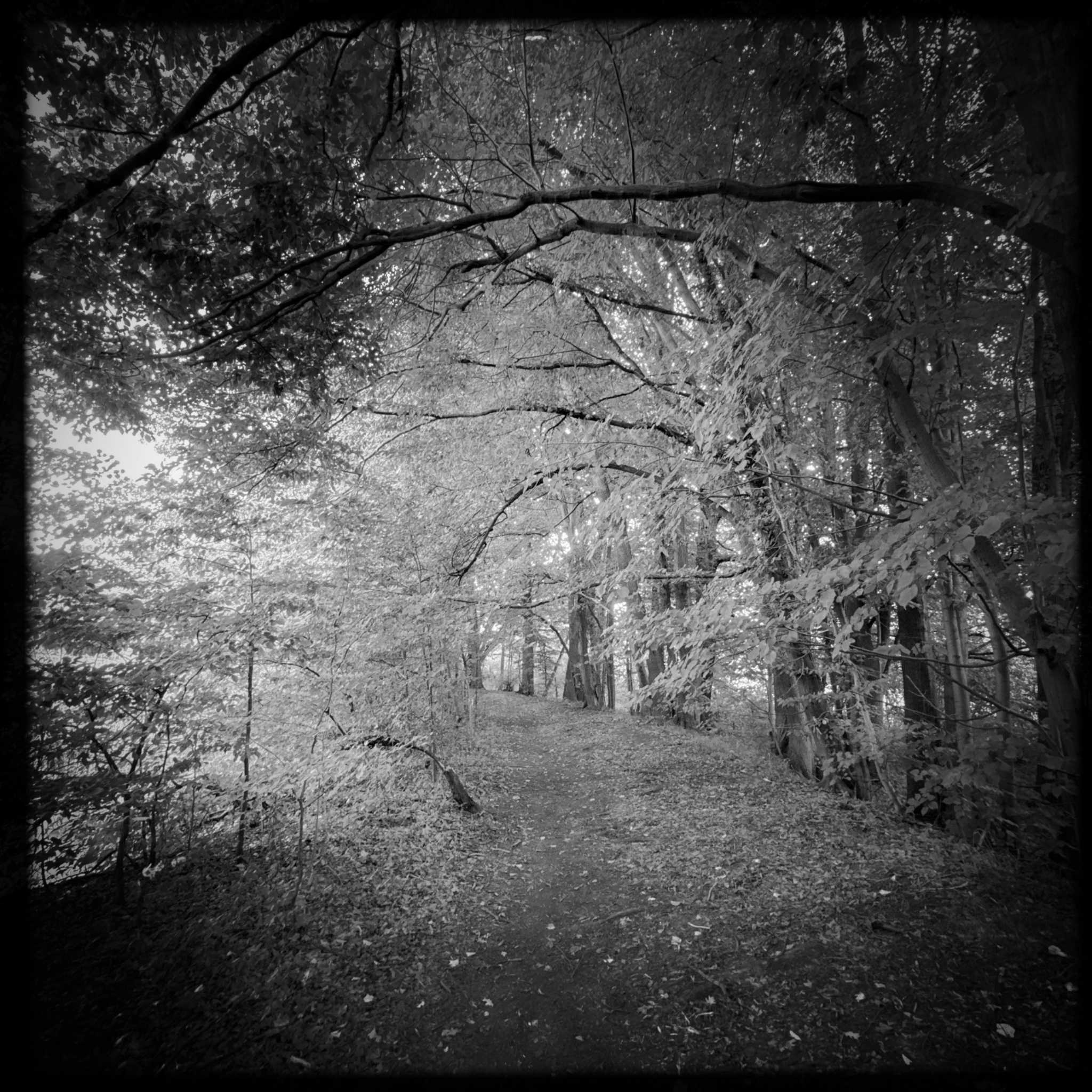 HMOriginal B7E91D82 C570 43AA 89EC 5AF2B5DFD671