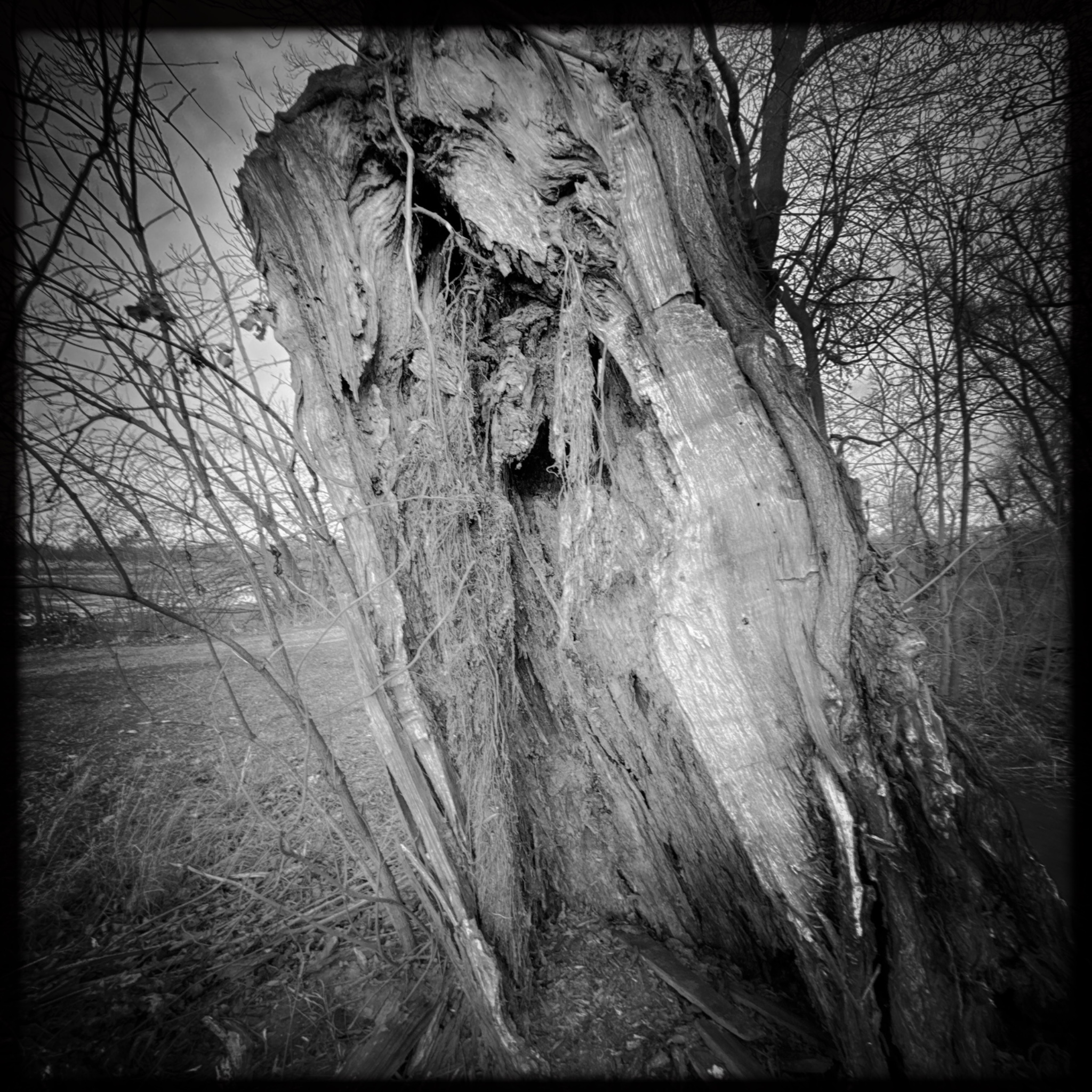 HMOriginal B8CEA52E 701A 447F 959C DE054C00B3EB