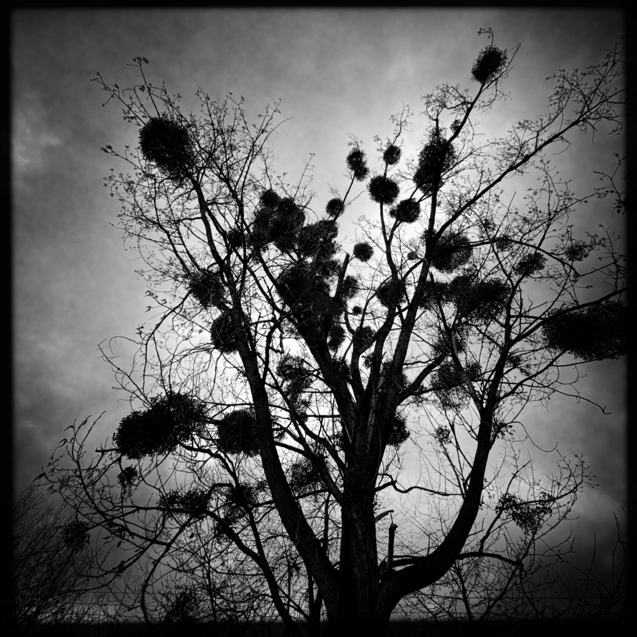 HMOriginal B94E0F4D DF63 40EE 9169 B58C4850767B