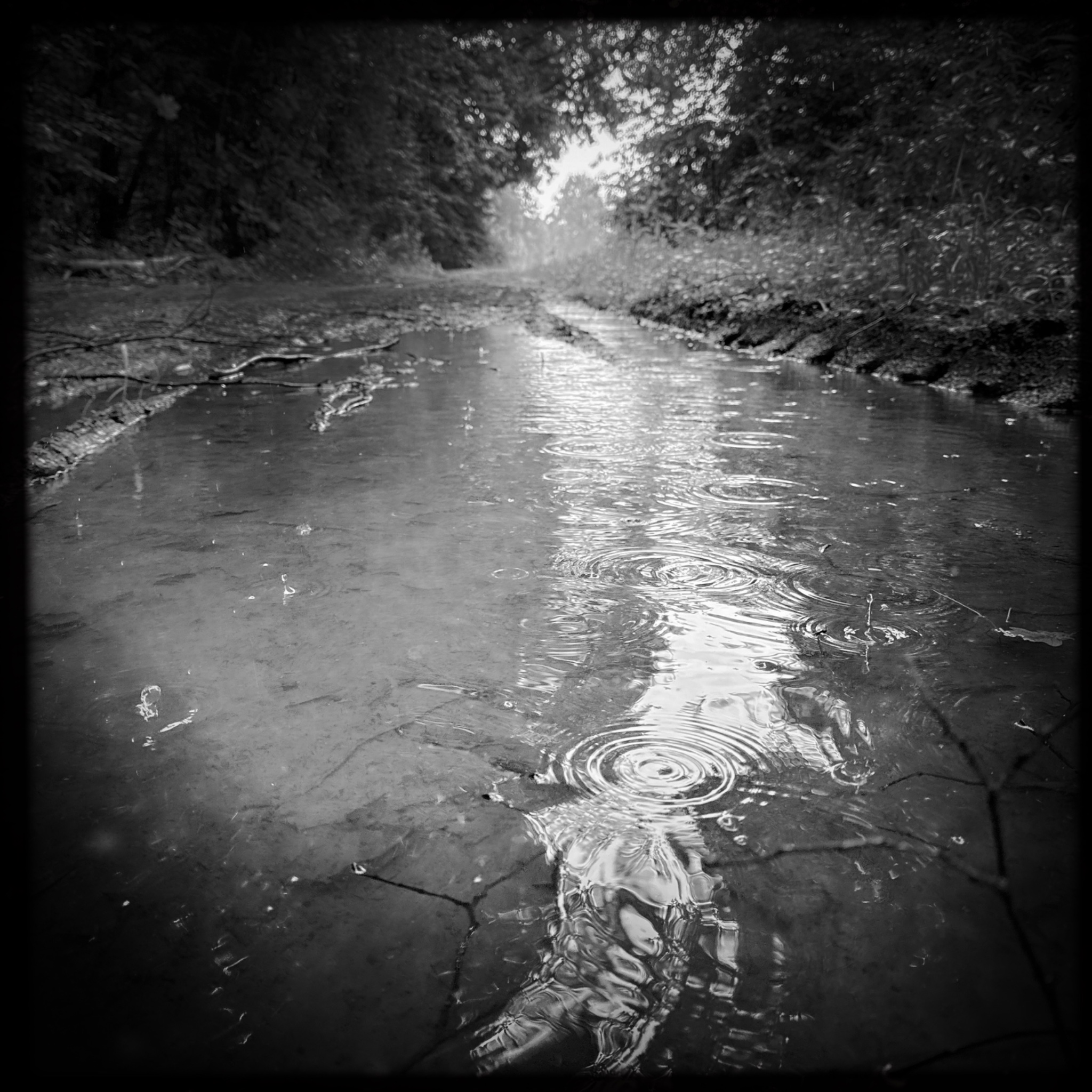 HMOriginal BCF3BB15 B34D 4D53 B58F BA7489C734A6