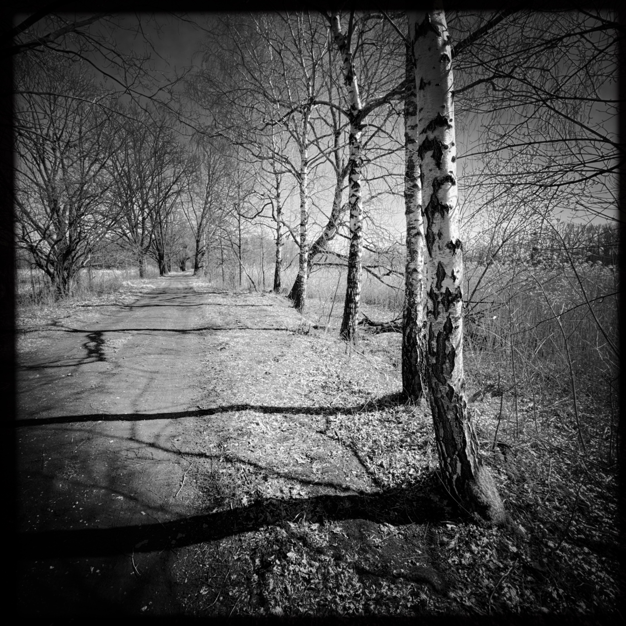 HMOriginal BD53725F D7BE 4538 916D FD6F24067899