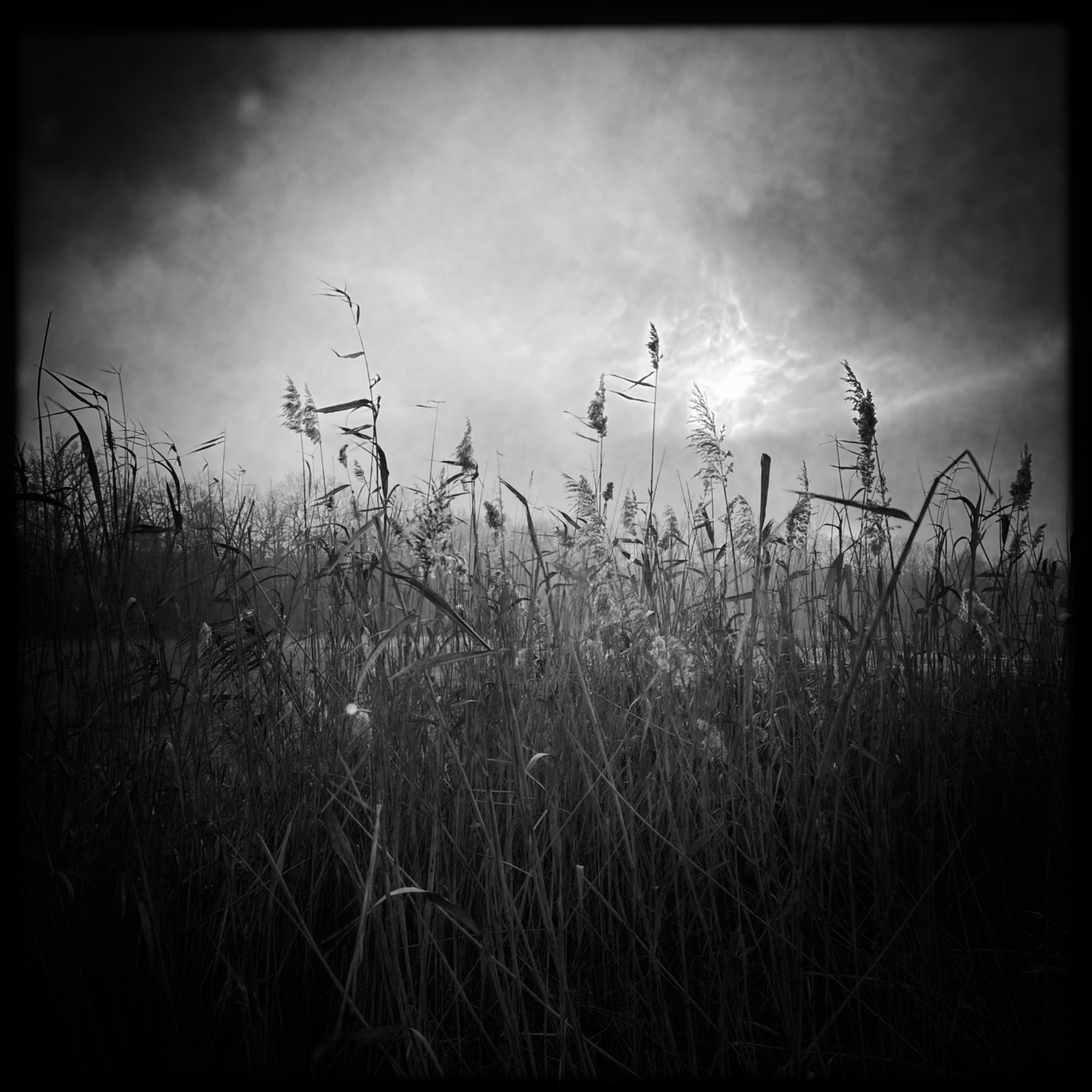 HMOriginal BF36F262 C00D 4C00 A161 3206122046EB