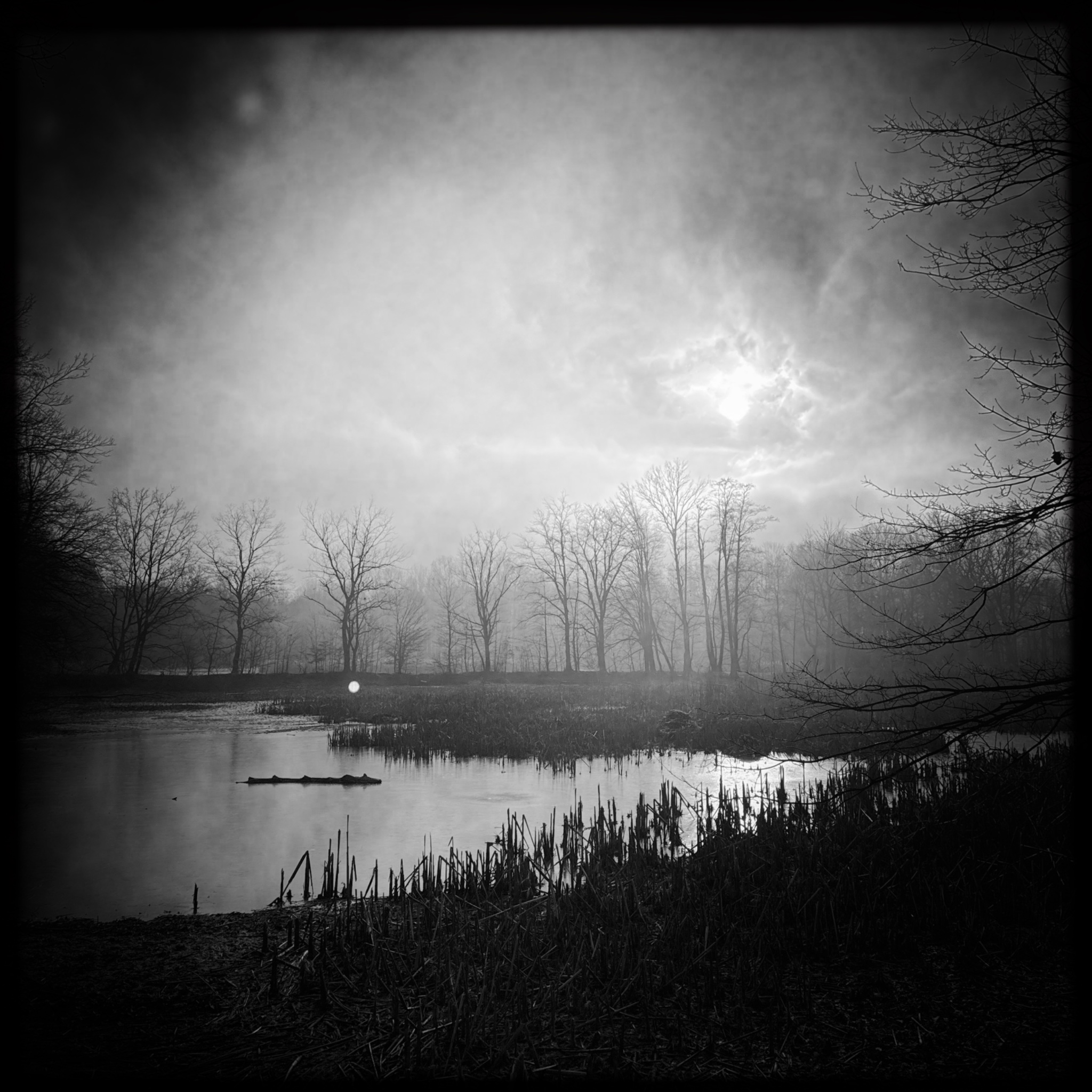 HMOriginal BF69B284 CAAC 4291 91B1 998E212E5848