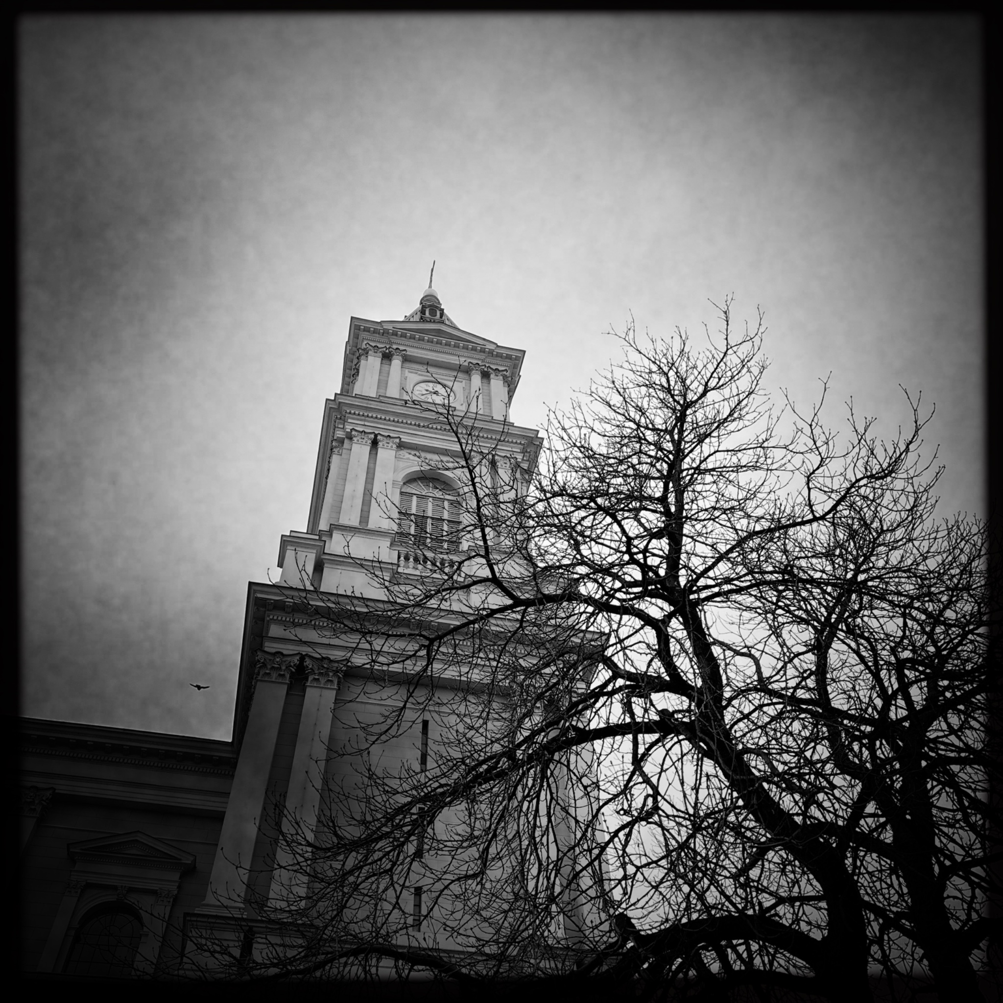 HMOriginal C13C5265 A401 4D09 A7EC FA3EA7A585AB