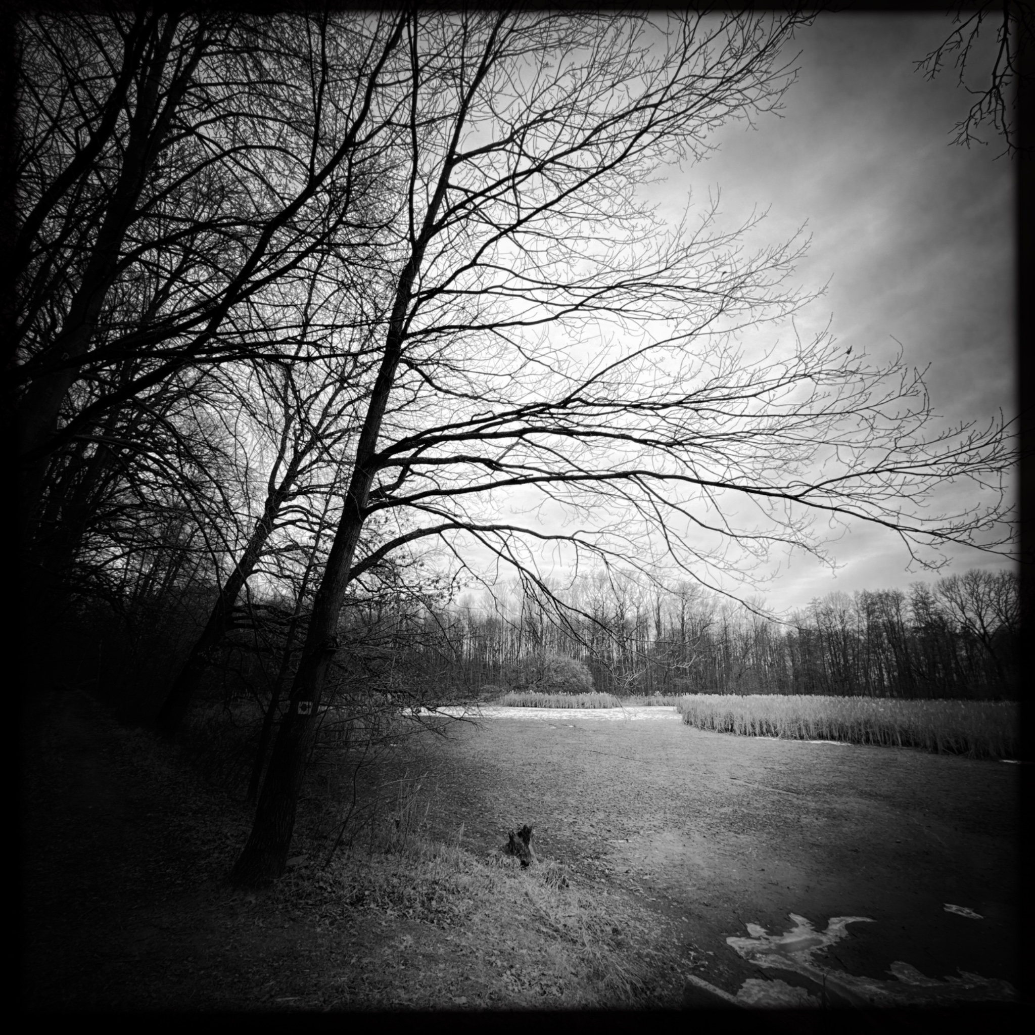 HMOriginal C23E4FF0 5D15 4F55 9337 74E21C97CDD7