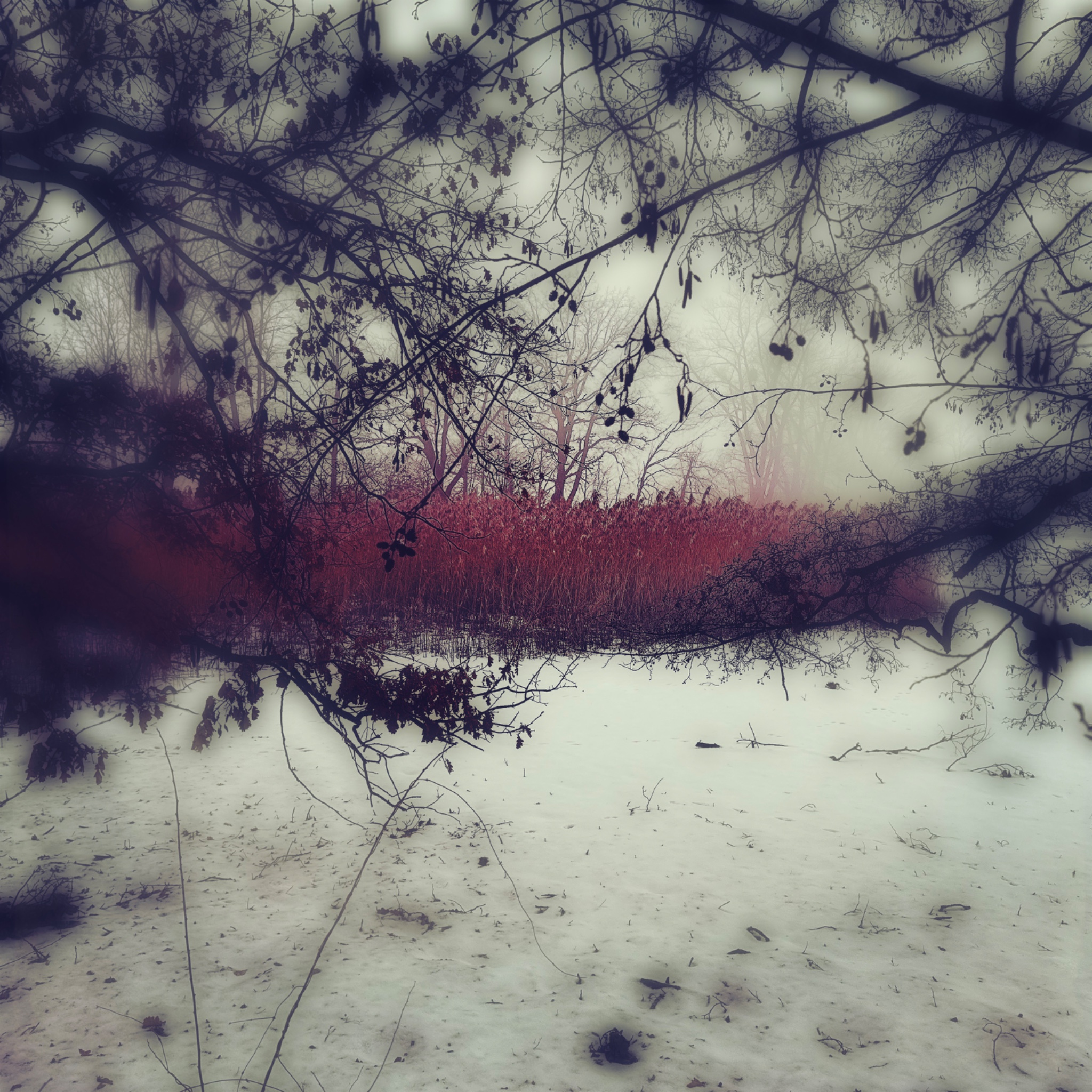 HMOriginal C2D5AFAA 8A13 46BA BFFF 9DF653D08377