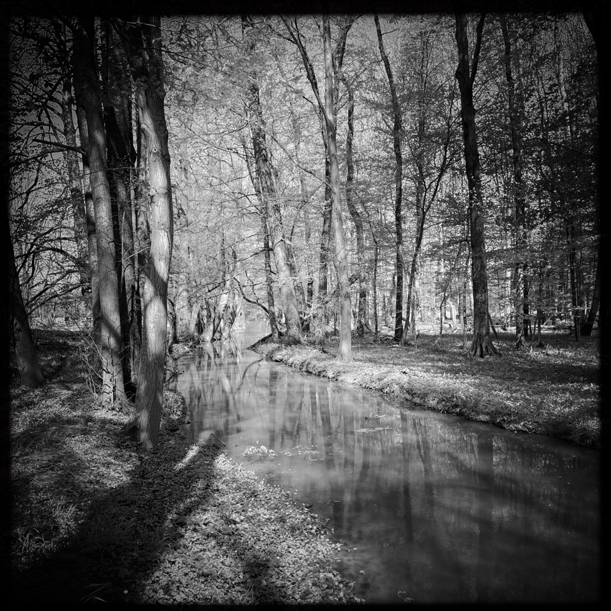 HMOriginal C41B2D39 98F9 46D3 BAEA 867F4F83C169