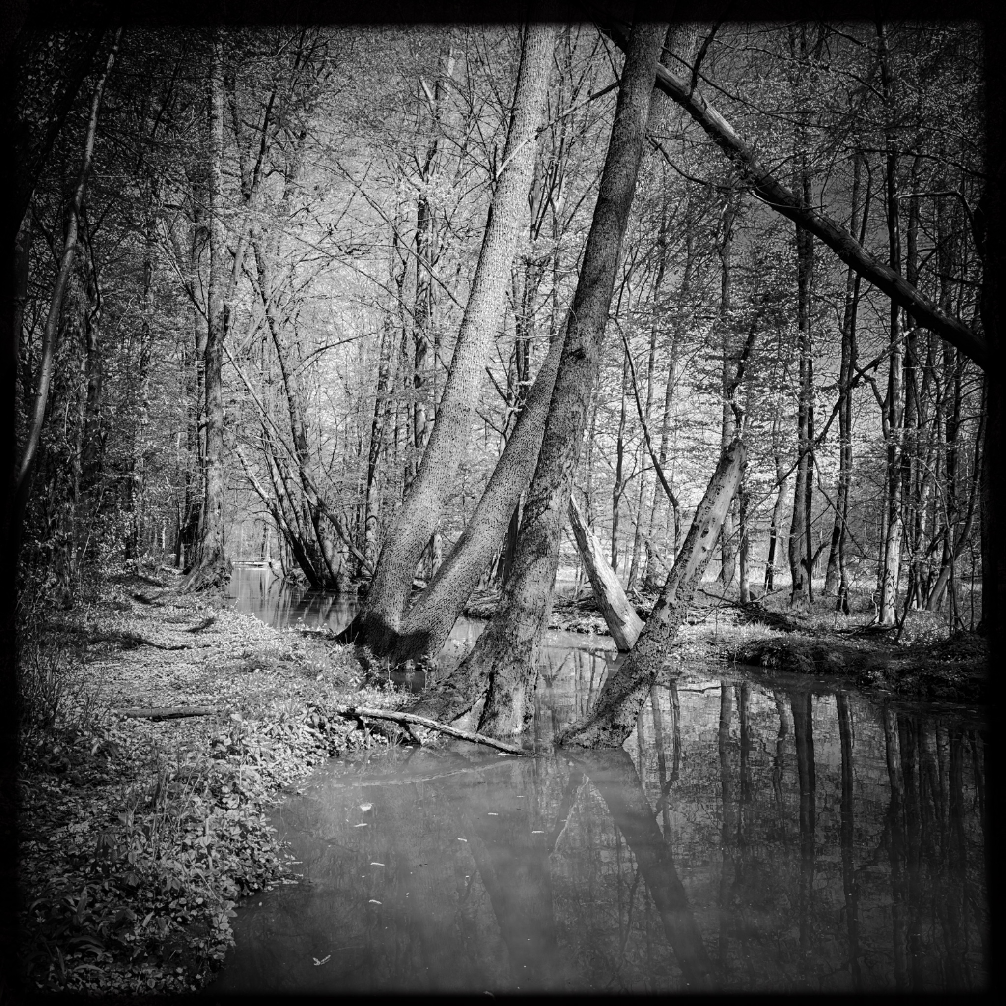 HMOriginal C5425ADC 61F1 4CD2 B609 33362FE3AB76