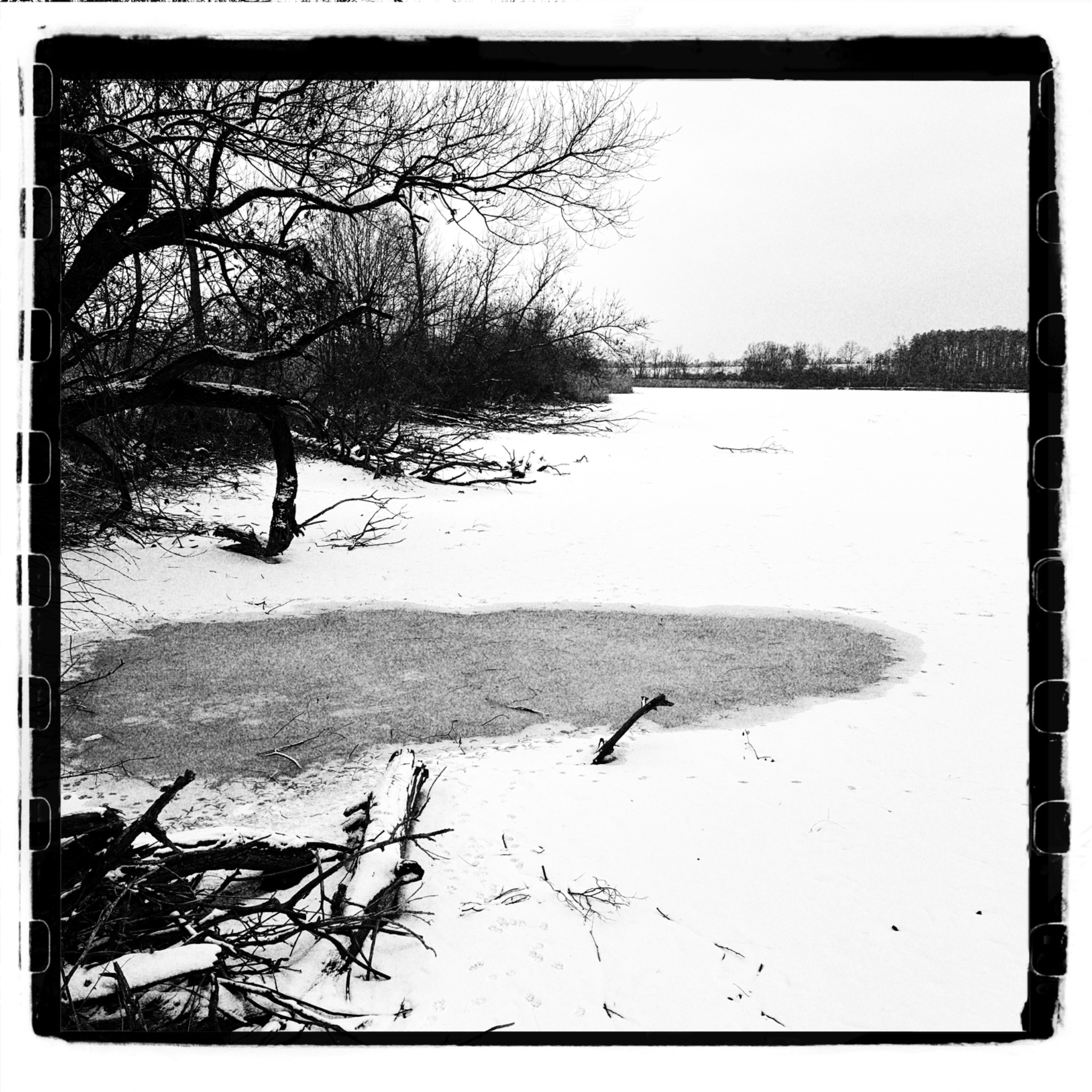 HMOriginal C9FED386 ED4C 43F2 9AD6 0847B090EA8A