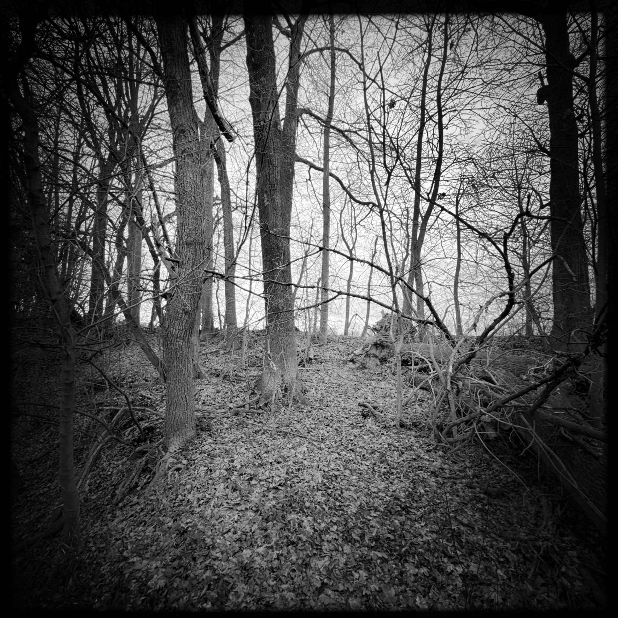 HMOriginal CA0128FD A791 4B56 8BB2 BC71933F188F