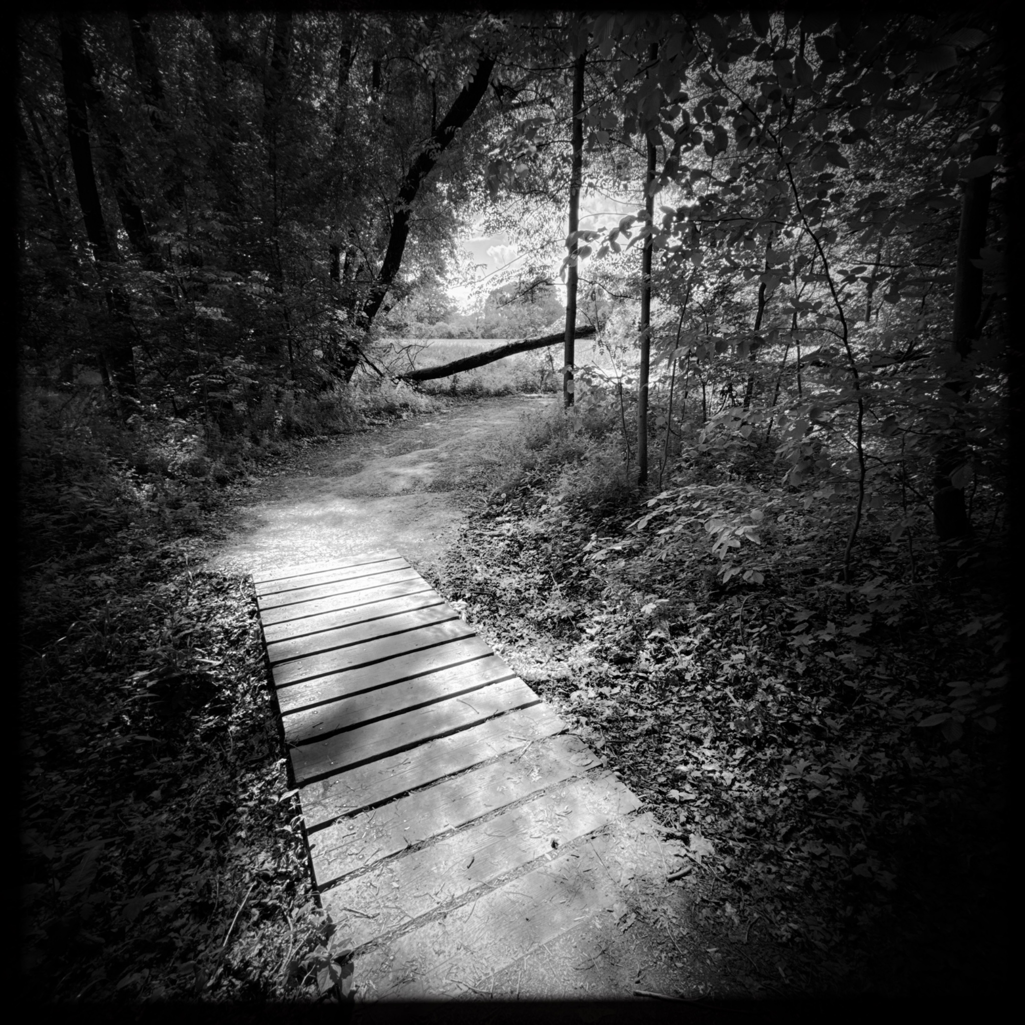 HMOriginal CB90FD0E D9FD 49DC 9F66 043E321D1112