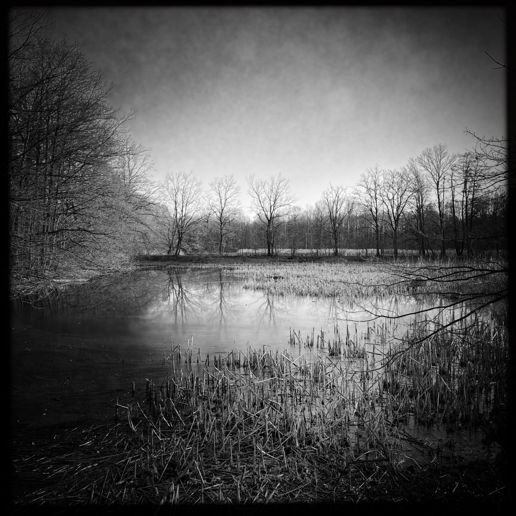 HMOriginal CDBFB1B2 8145 46D2 A30F C8CBE6ABB390