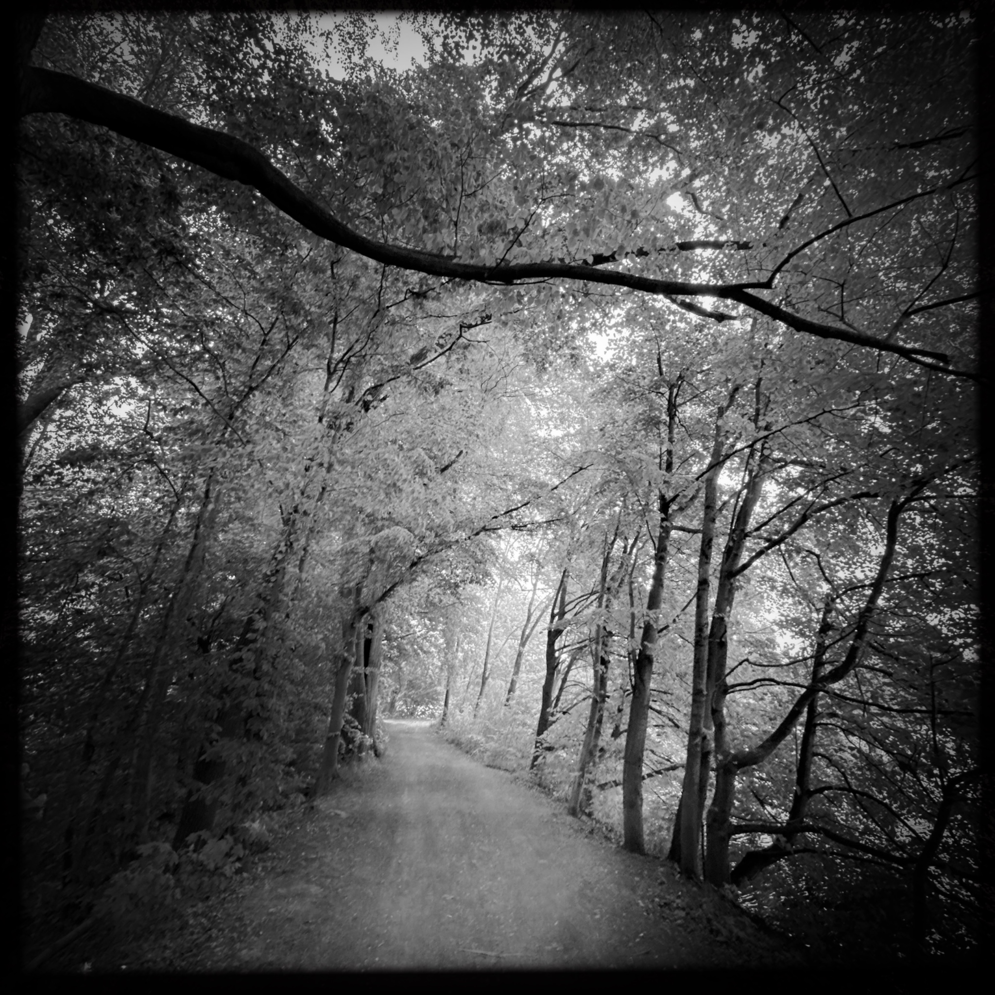 HMOriginal D09F7A12 E037 4813 8246 F523FF7CDC1D