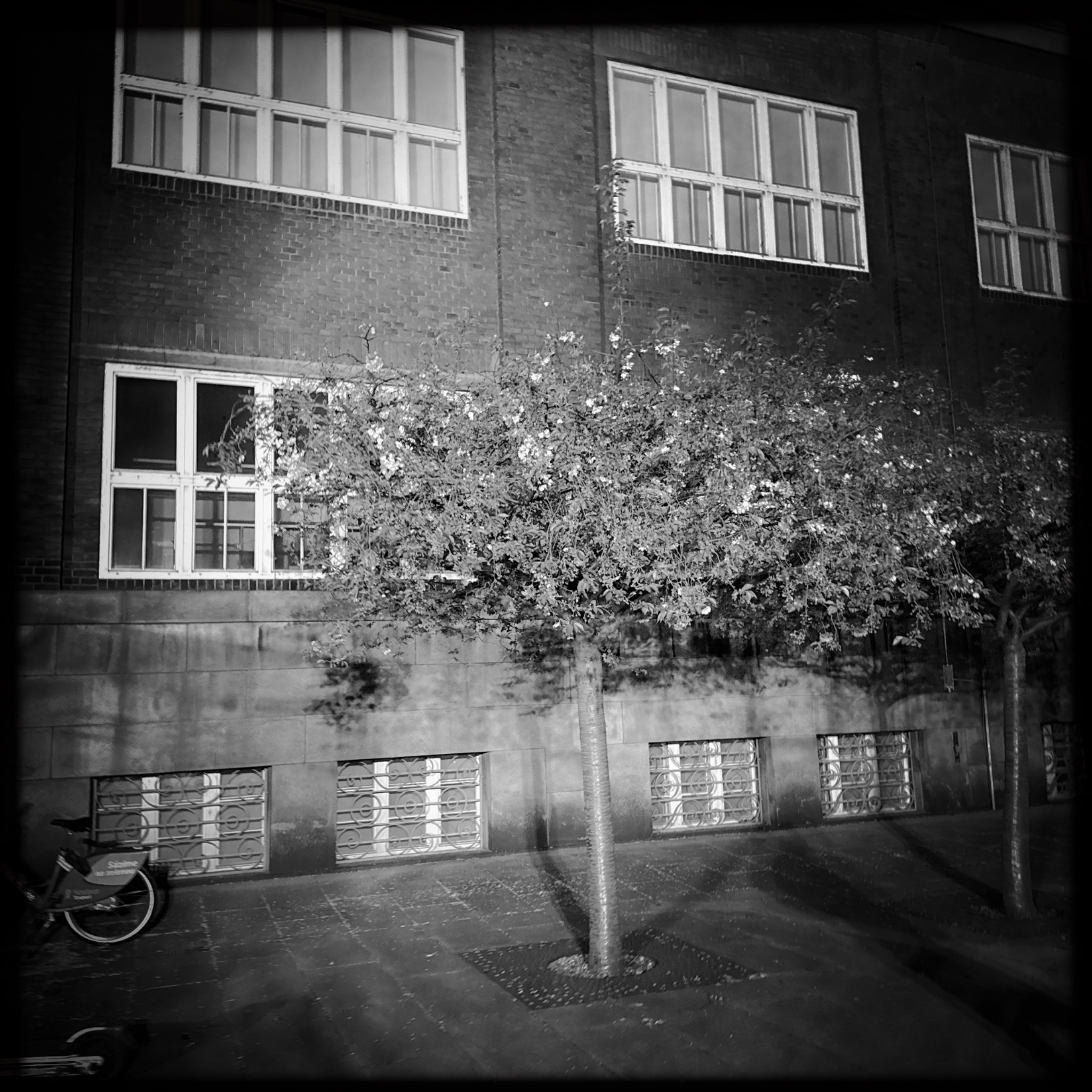 HMOriginal D0FBC9C7 658C 4C37 B9D7 F119B50FA6C6