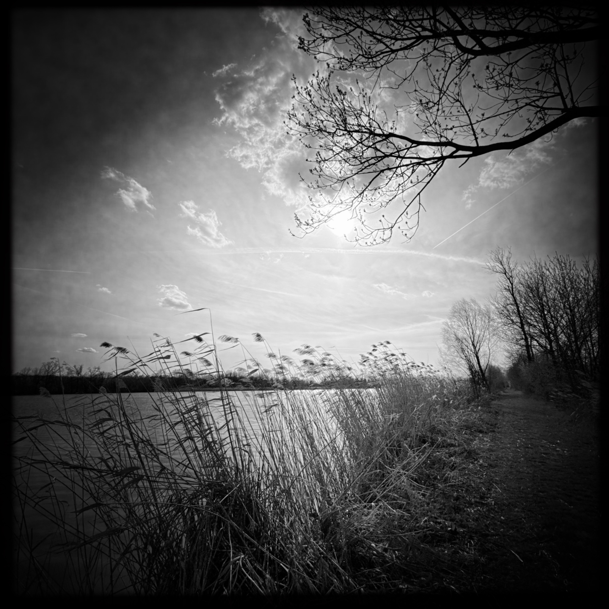 HMOriginal D1BC3A20 E0B3 4F3F BC76 0970785D6FF6