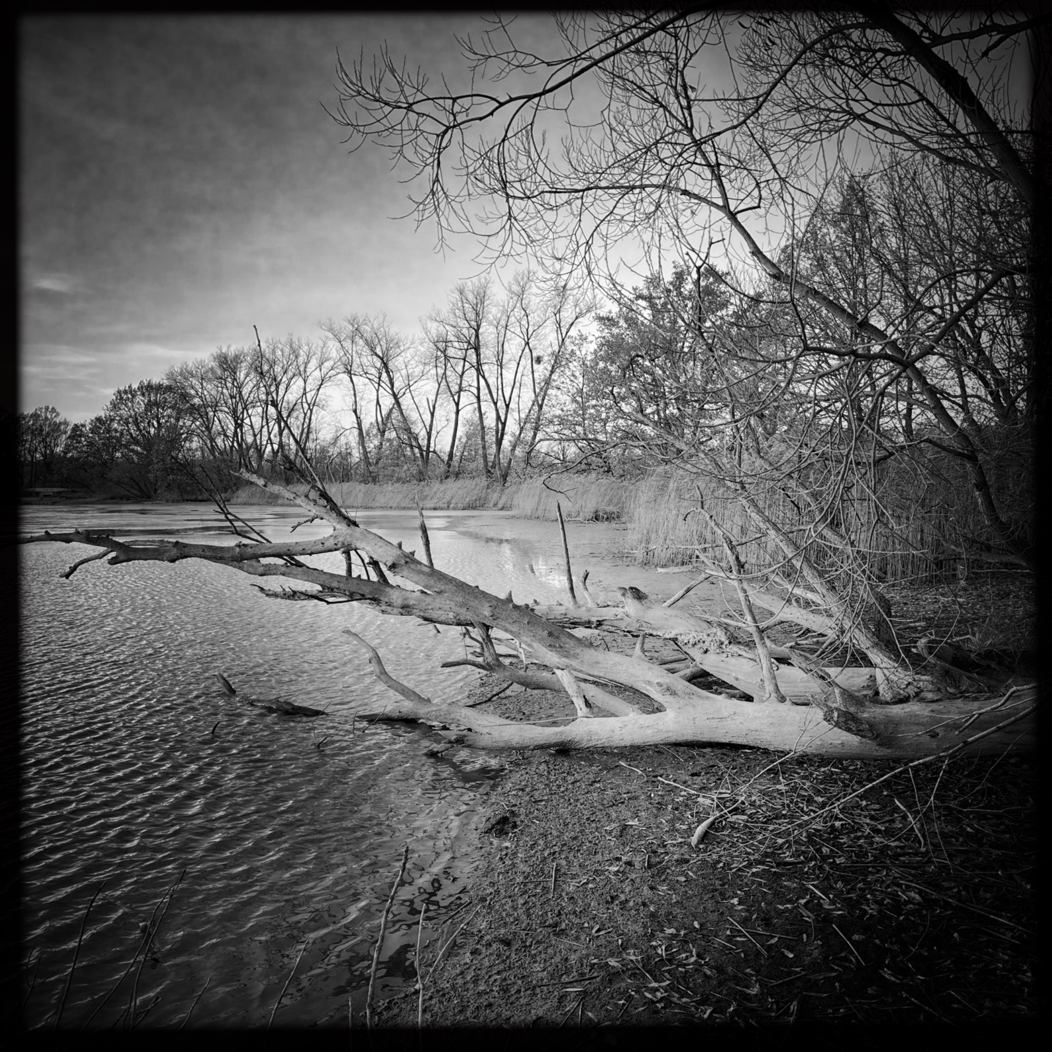 HMOriginal D1C171C3 C5C5 4581 93F3 5FC9E7C71253