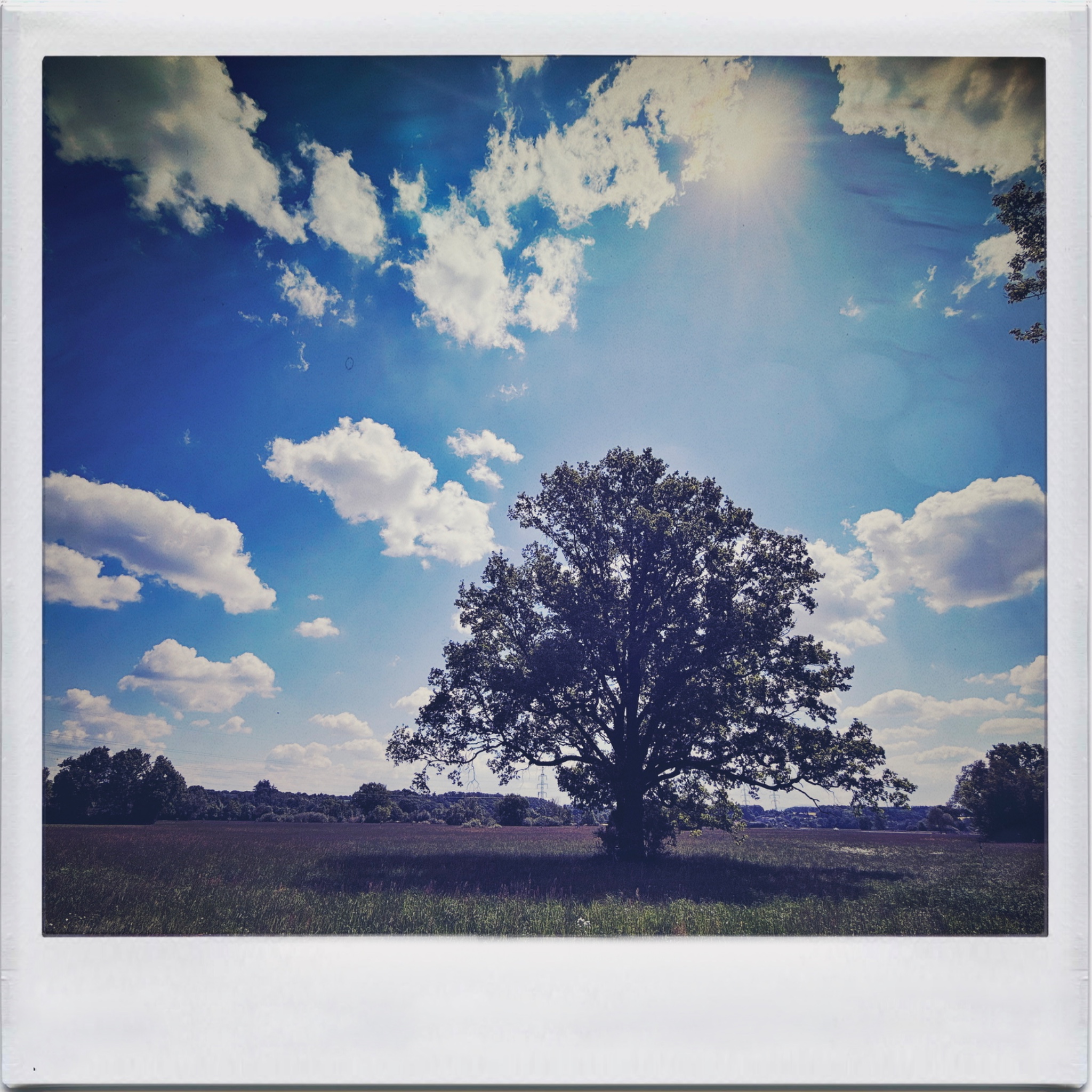 HMOriginal D34708C0 37F9 4A17 955B 2F4A9E920384