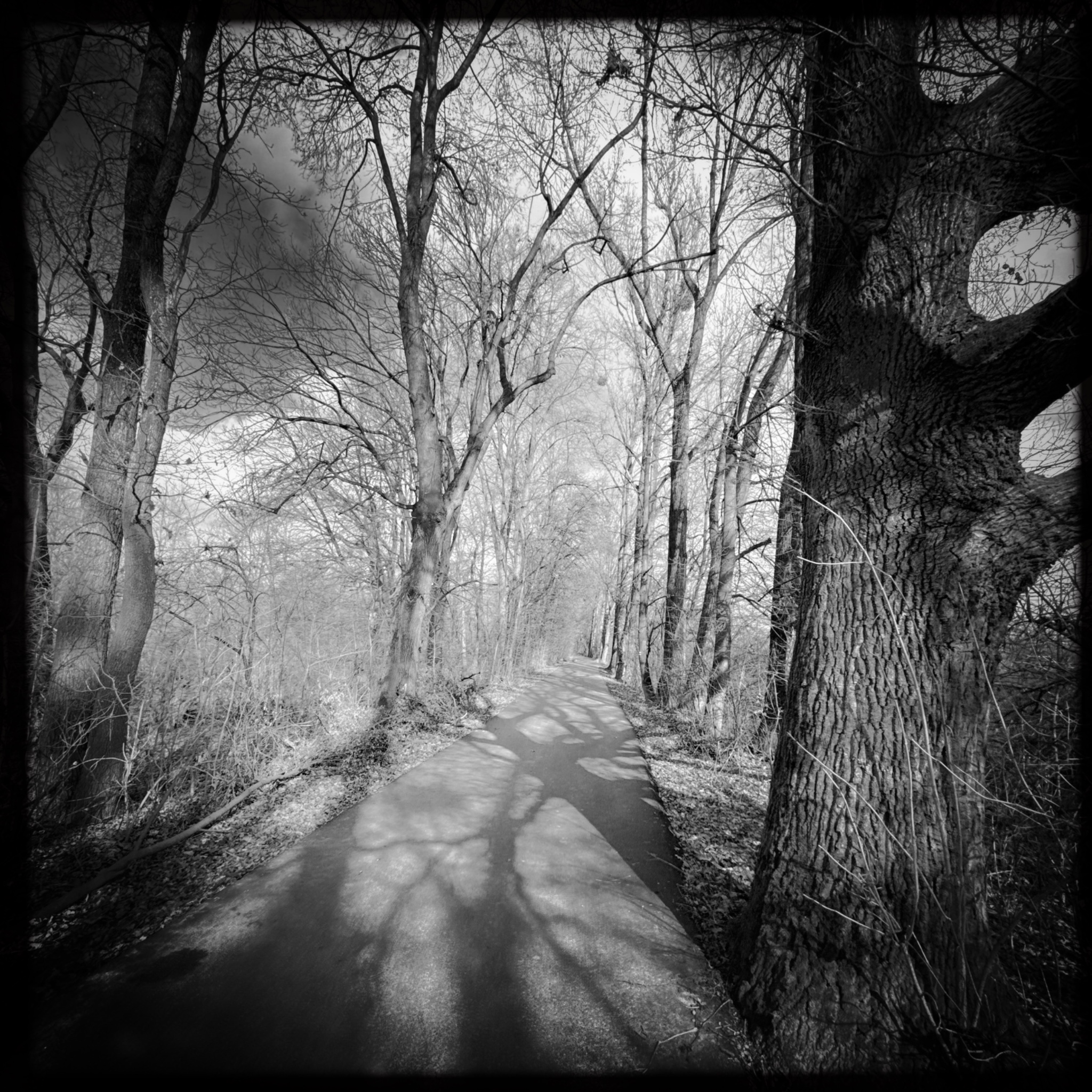 HMOriginal D47B3EBC F1AE 4317 B269 C59F08FCD811