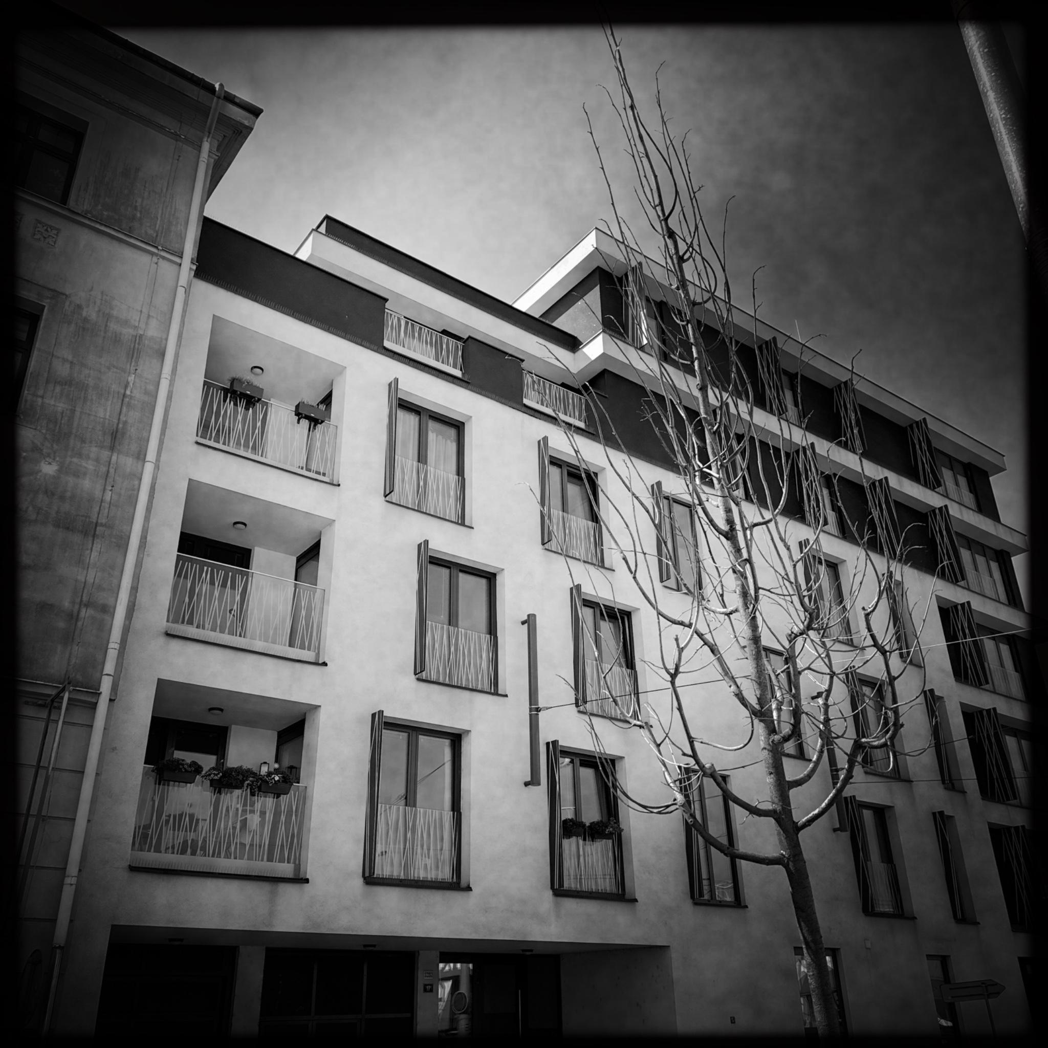 HMOriginal D509D658 131C 45D0 AFEB 5315FB657DD8