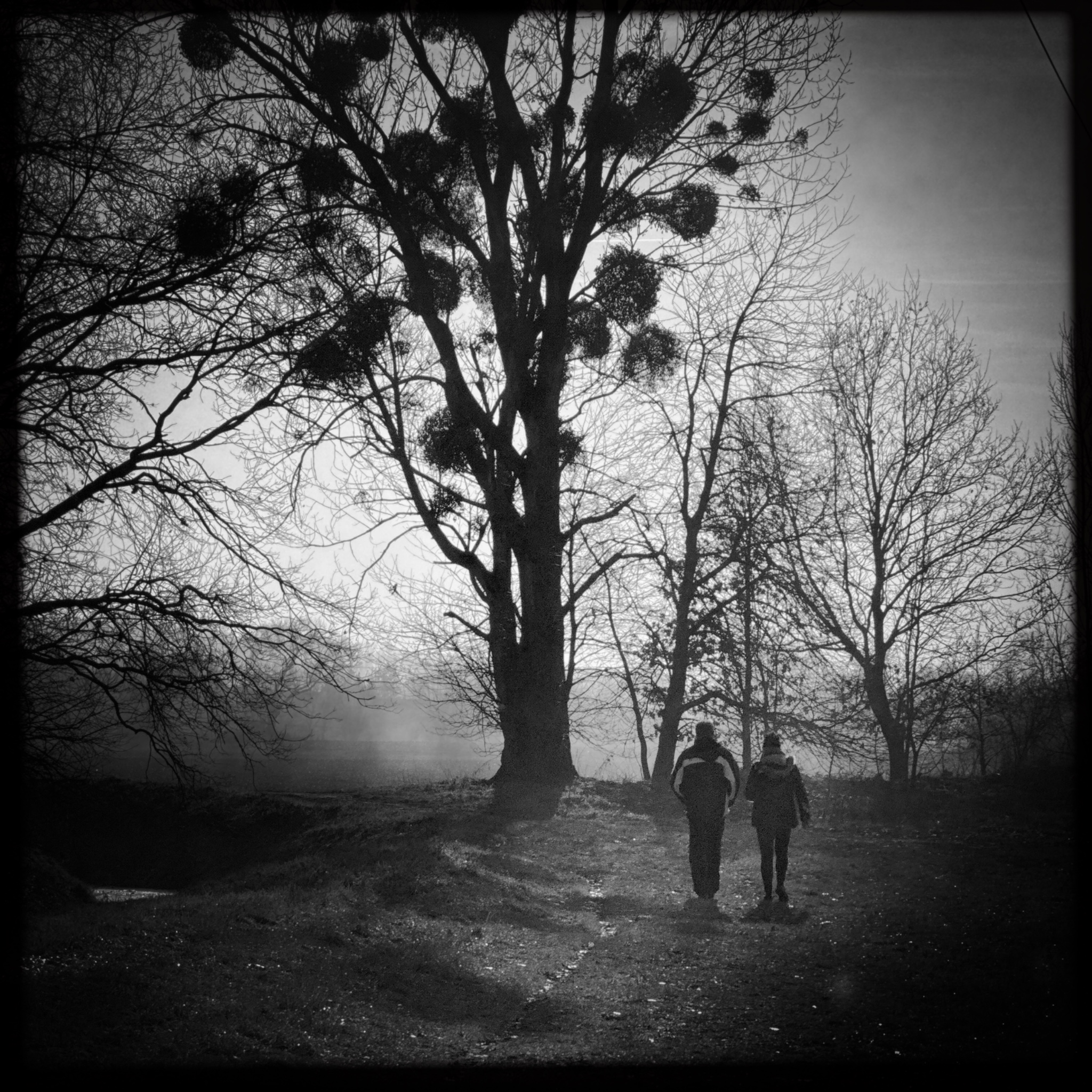 HMOriginal D58F8A48 4B16 4D4D A4FA 78857F96B741