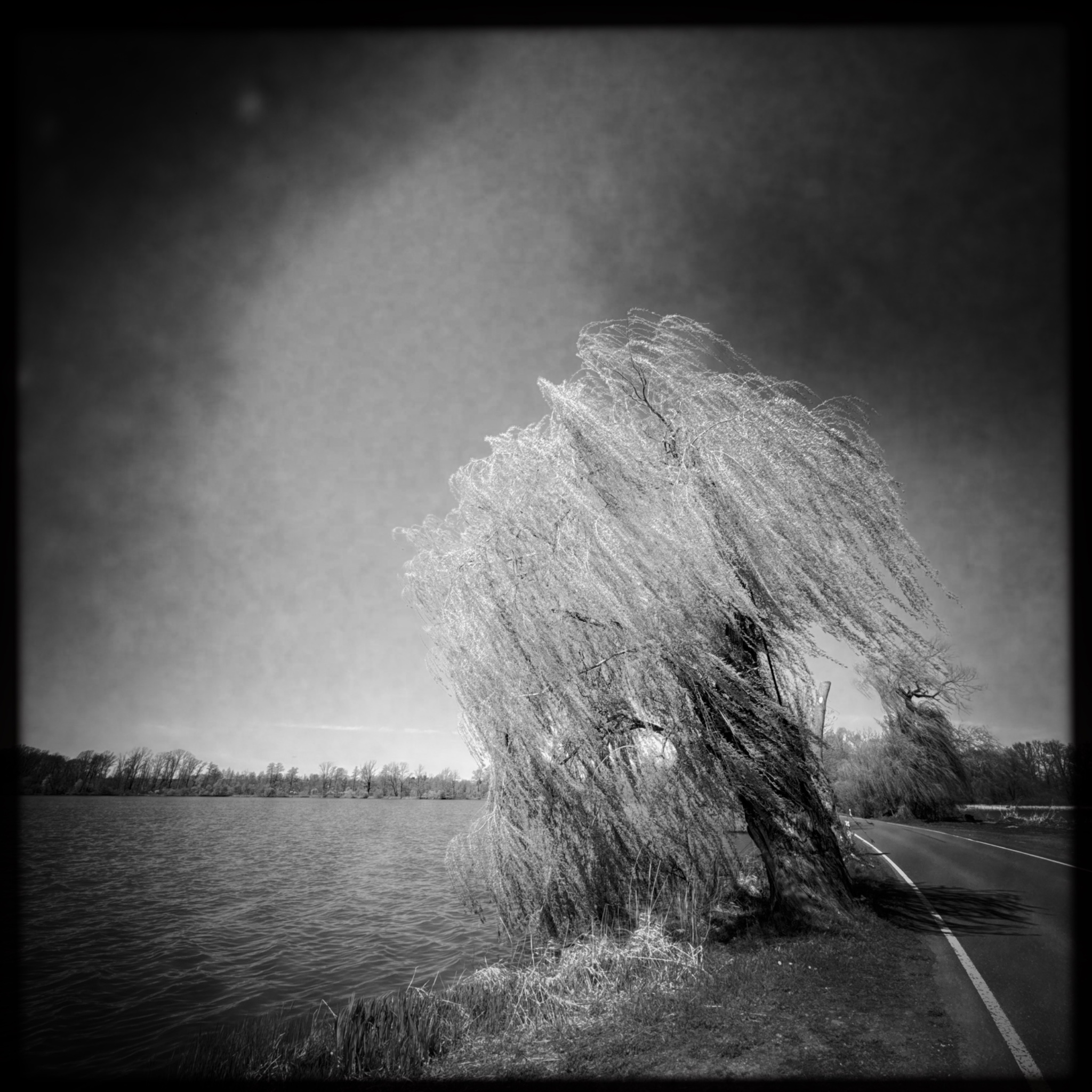 HMOriginal D6E30CC1 9929 4B75 AFC4 EE0985BC5308