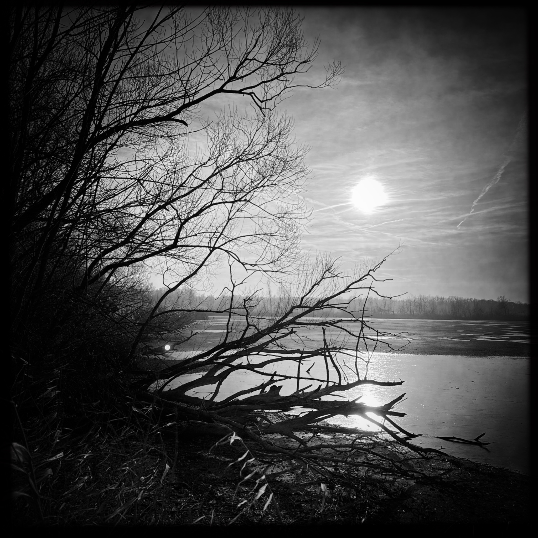 HMOriginal D775A5DE 97CE 4D79 A478 745706BE75B1