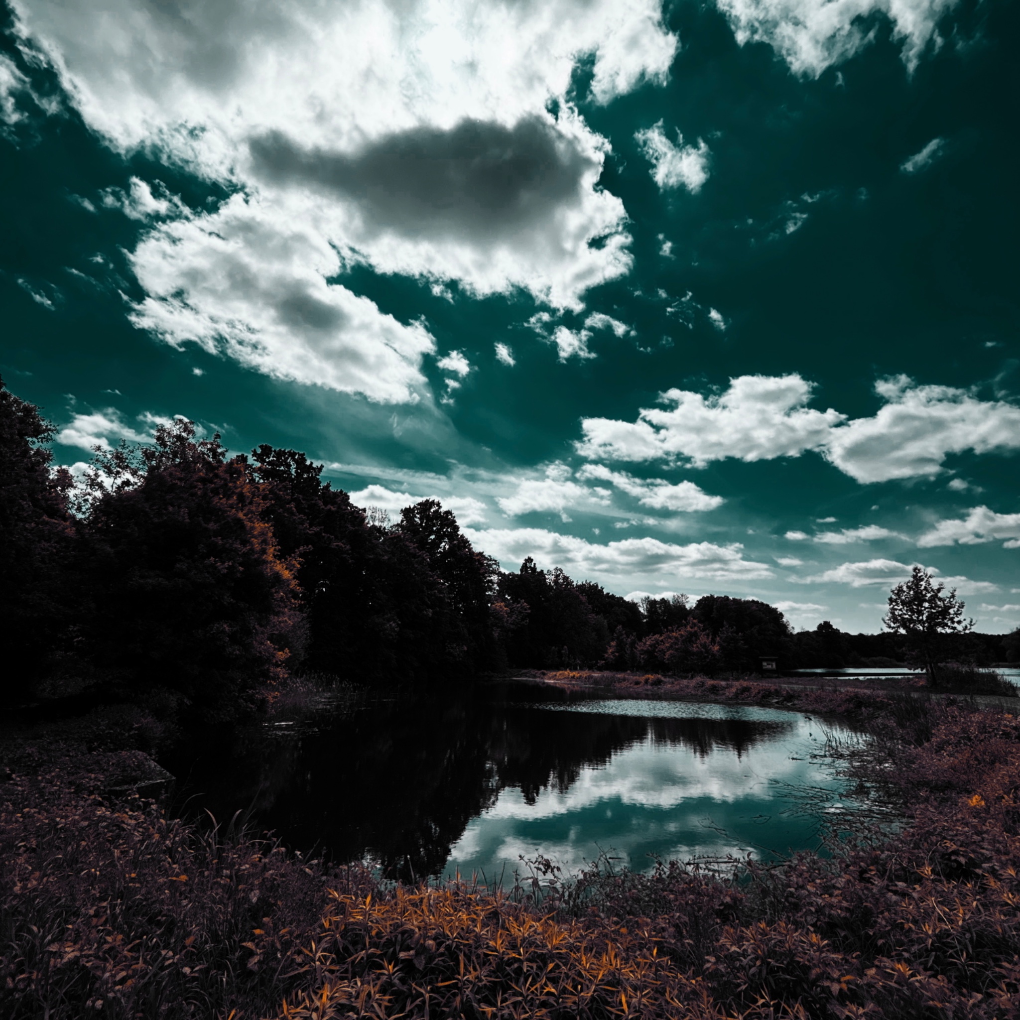 HMOriginal D7D27331 B80F 46F1 87B9 0F7C8A41CCD8