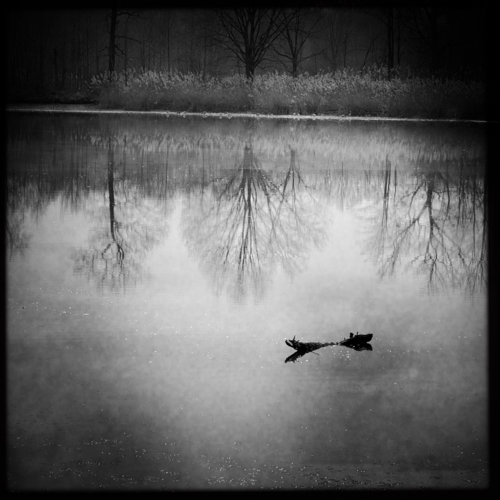 HMOriginal D84DCBB1 1C69 426B 8820 9FE34A66D72C