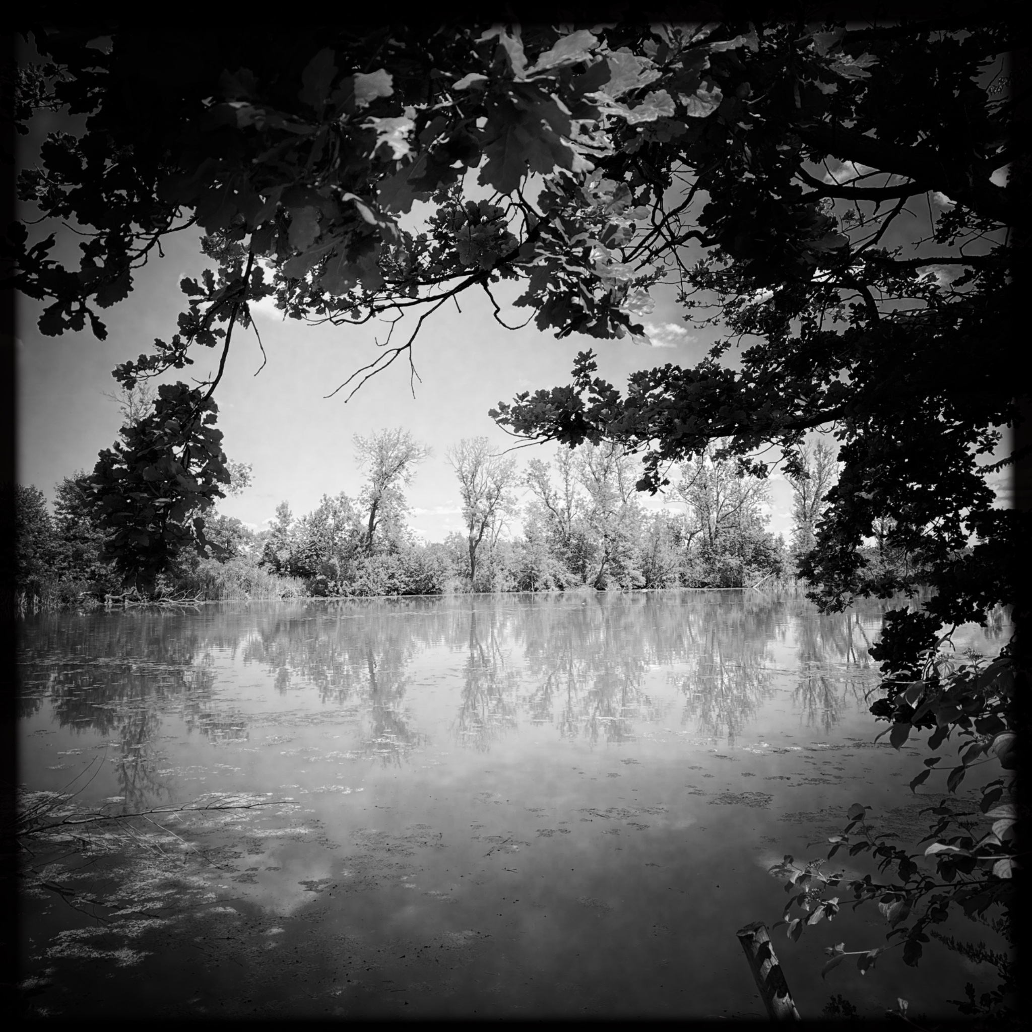 HMOriginal D86FB007 9389 489F B6B2 18ED6C36ECD7