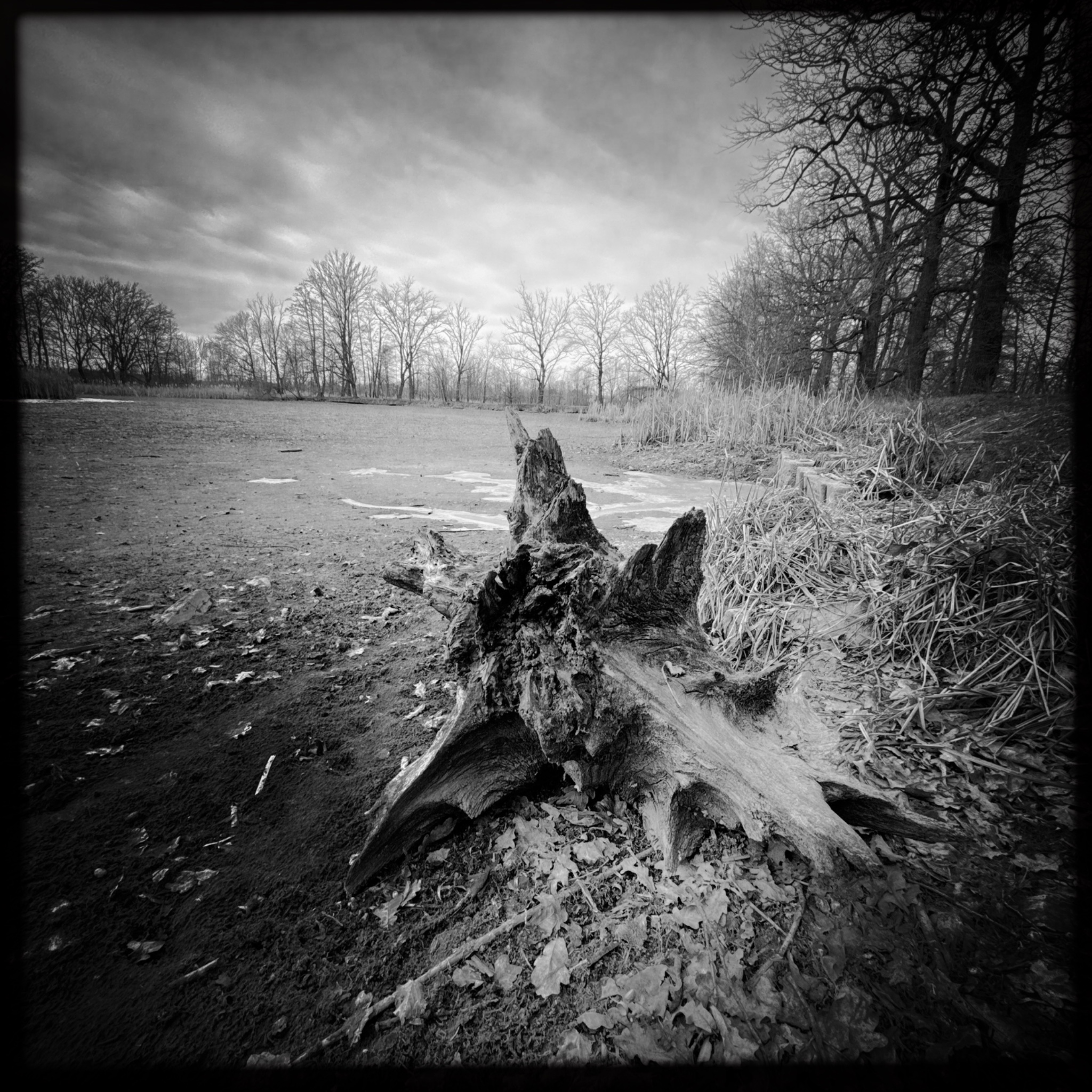 HMOriginal D8D0B7CB BF70 4551 AA82 2F1AF67BE2B6