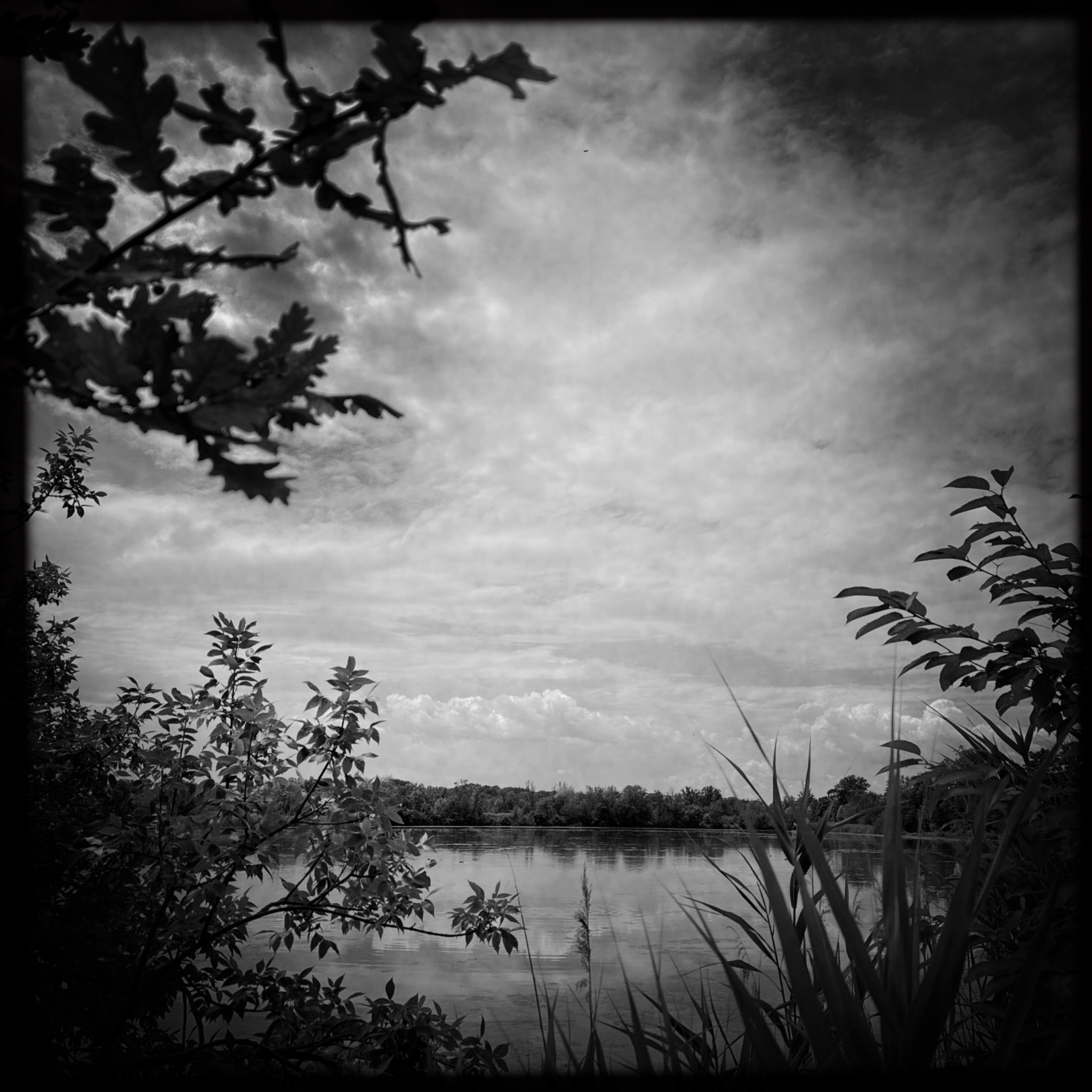 HMOriginal D9F2336E 1368 4F5C 9234 50B166034415