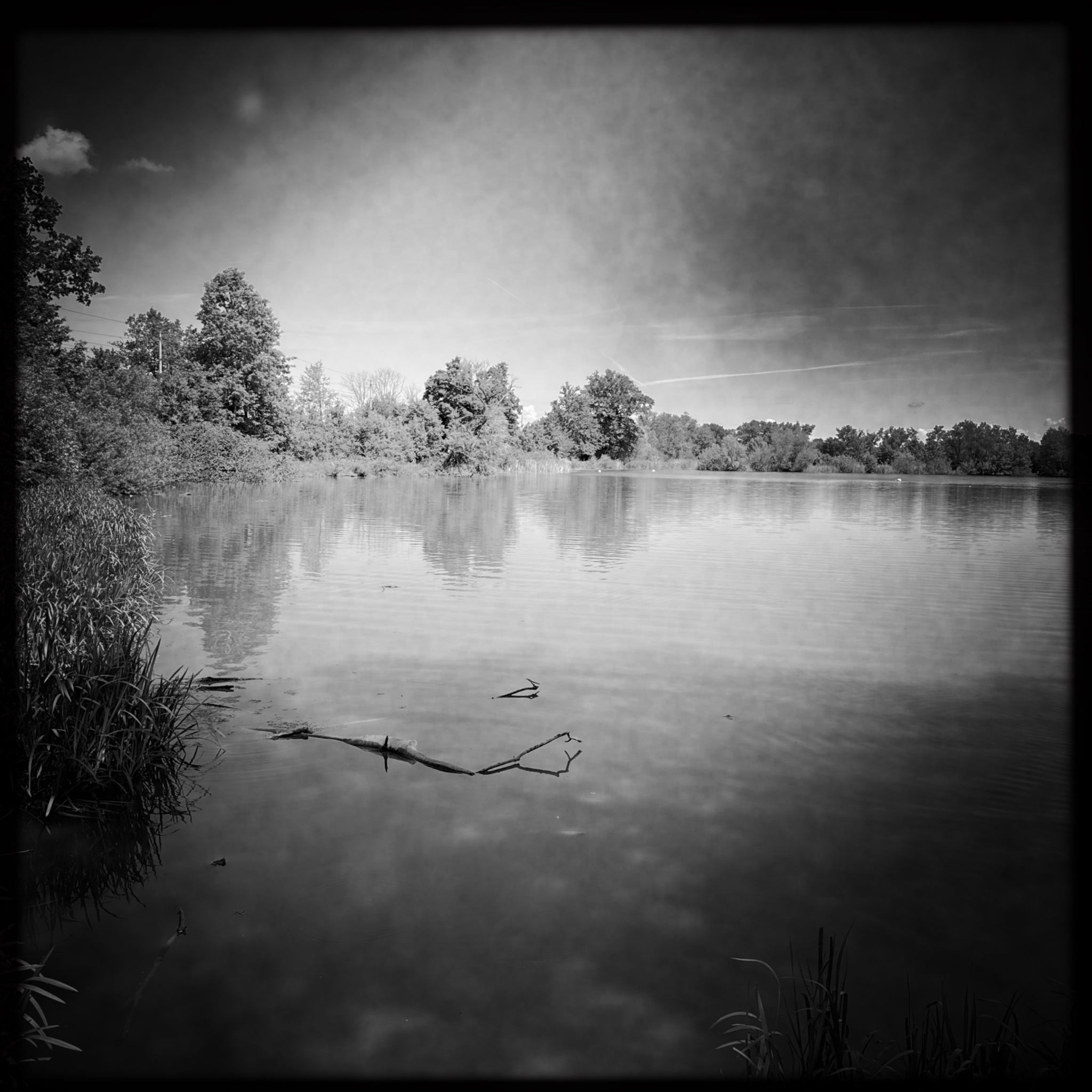 HMOriginal DAFE47A4 C980 42BB B50D D5E93FB97FDA