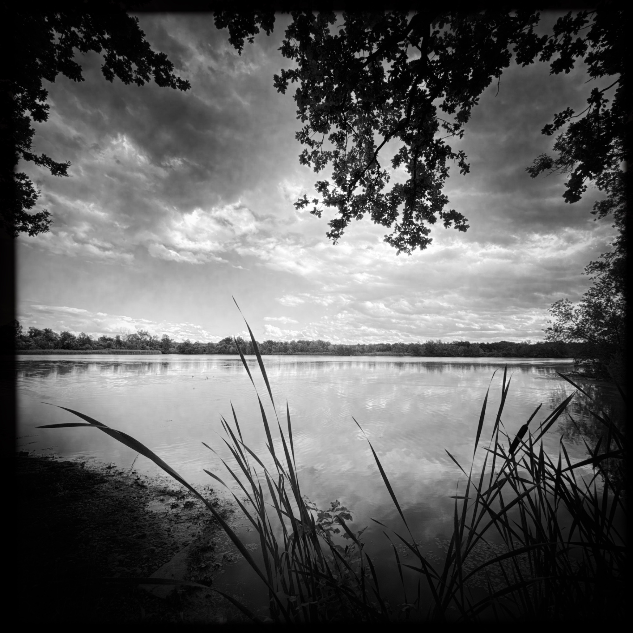 HMOriginal DB16EE2C 38CC 47D1 91DD 48C42A22A659