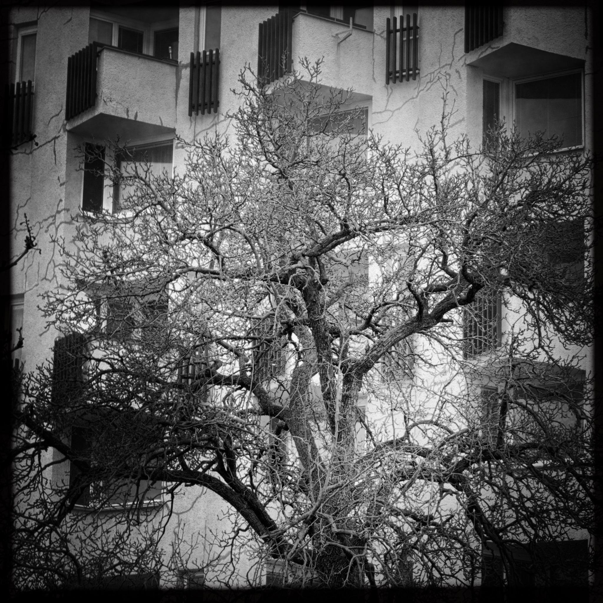 HMOriginal DC104C5A E760 49AD 99C1 254499E8868B1