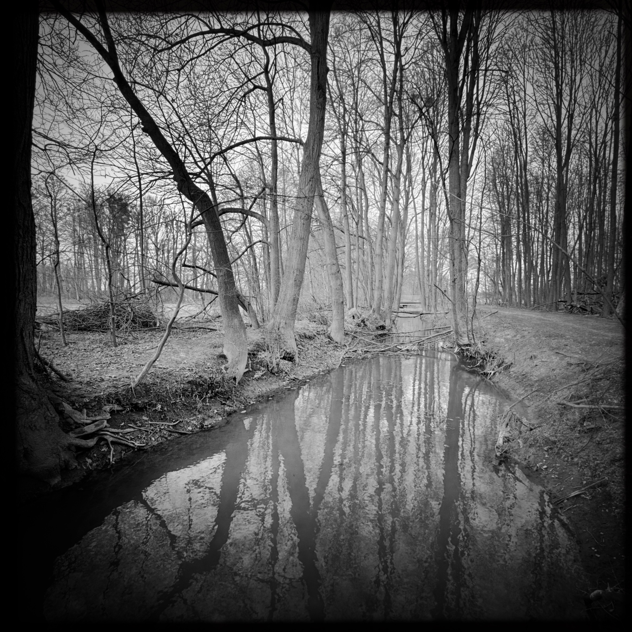 HMOriginal E13C0EE1 6AEE 4131 8AE5 AFDF36824DB1