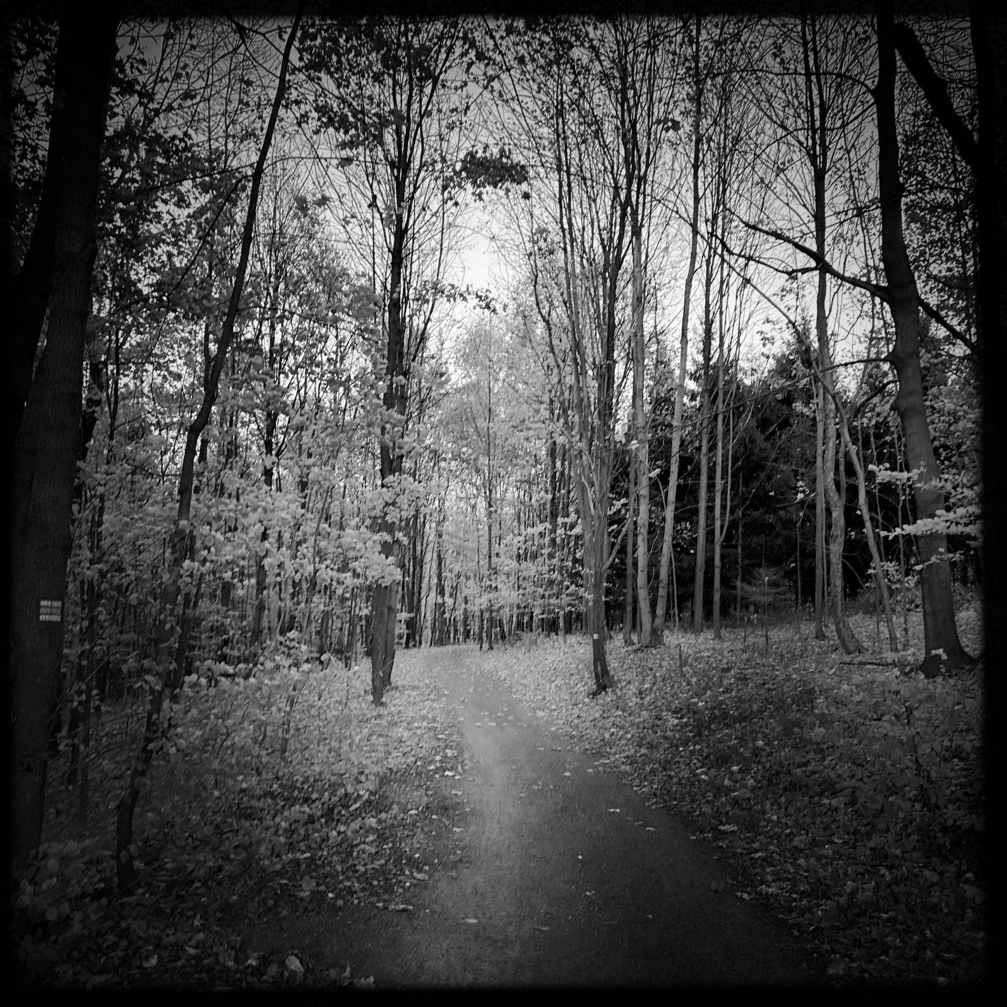 HMOriginal E2A67BDC 9D21 47F5 80DD 28F9A2100BBF