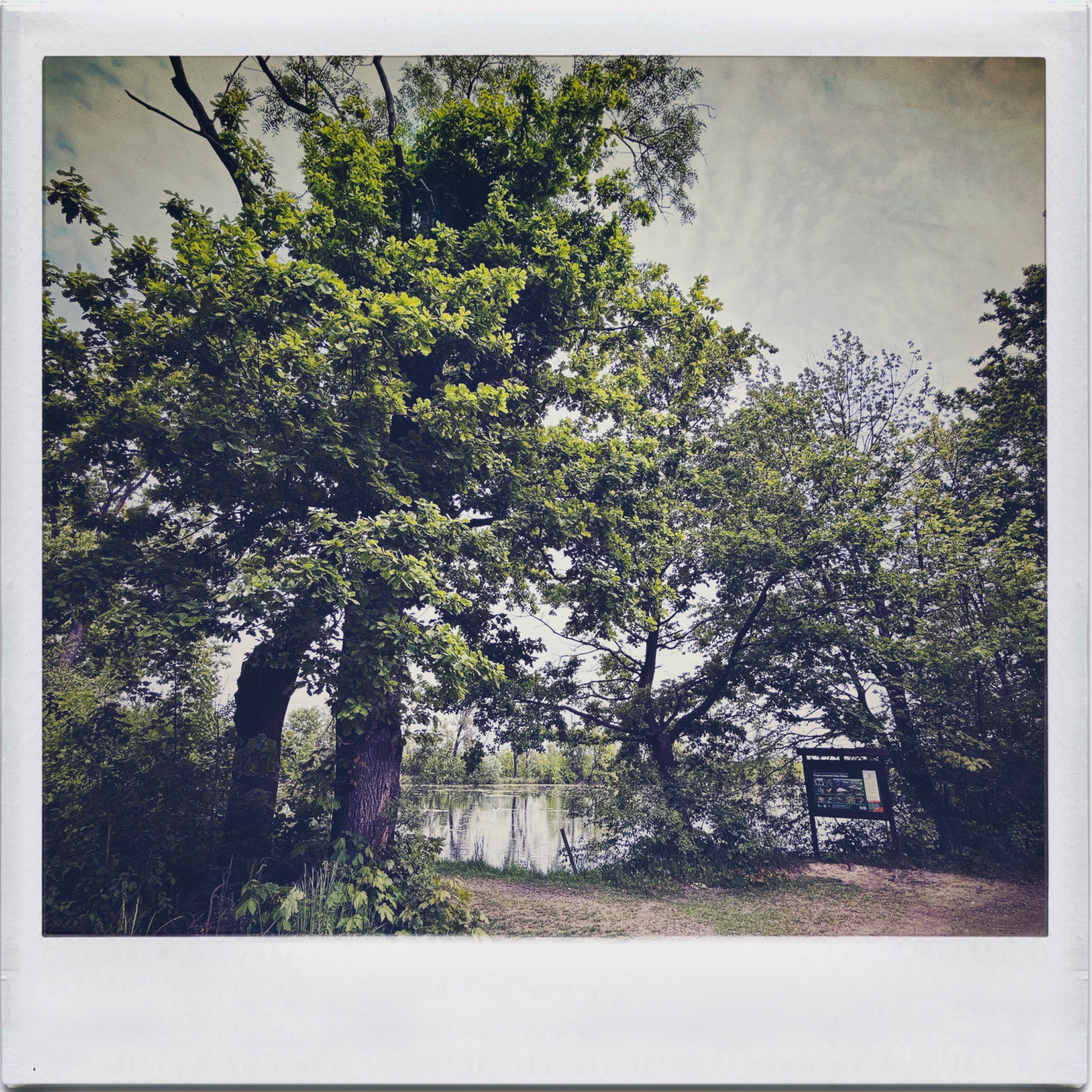 HMOriginal E30030C5 2841 4E26 BC9C 616C4C0CB191