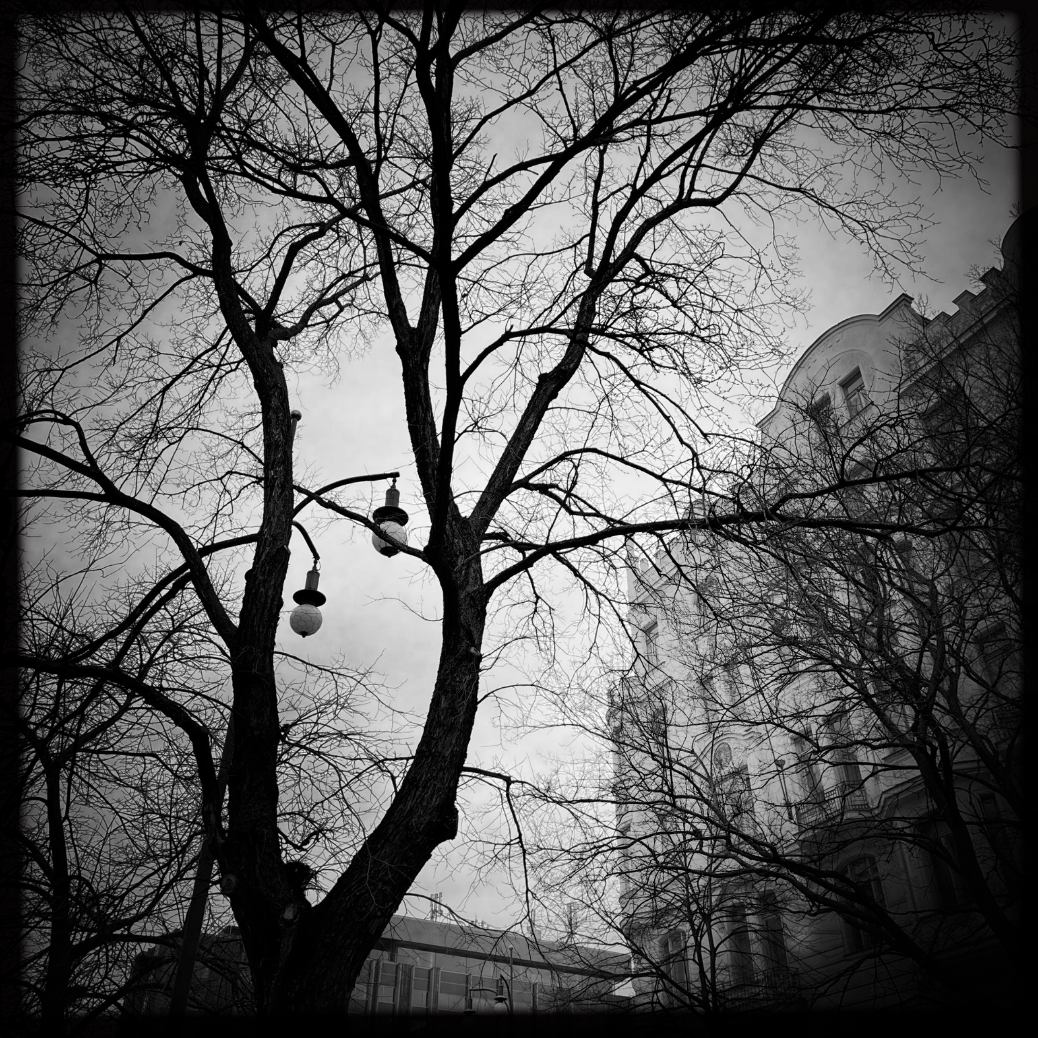 HMOriginal E67FF70D 269A 4217 AD35 3503A0C1A6801