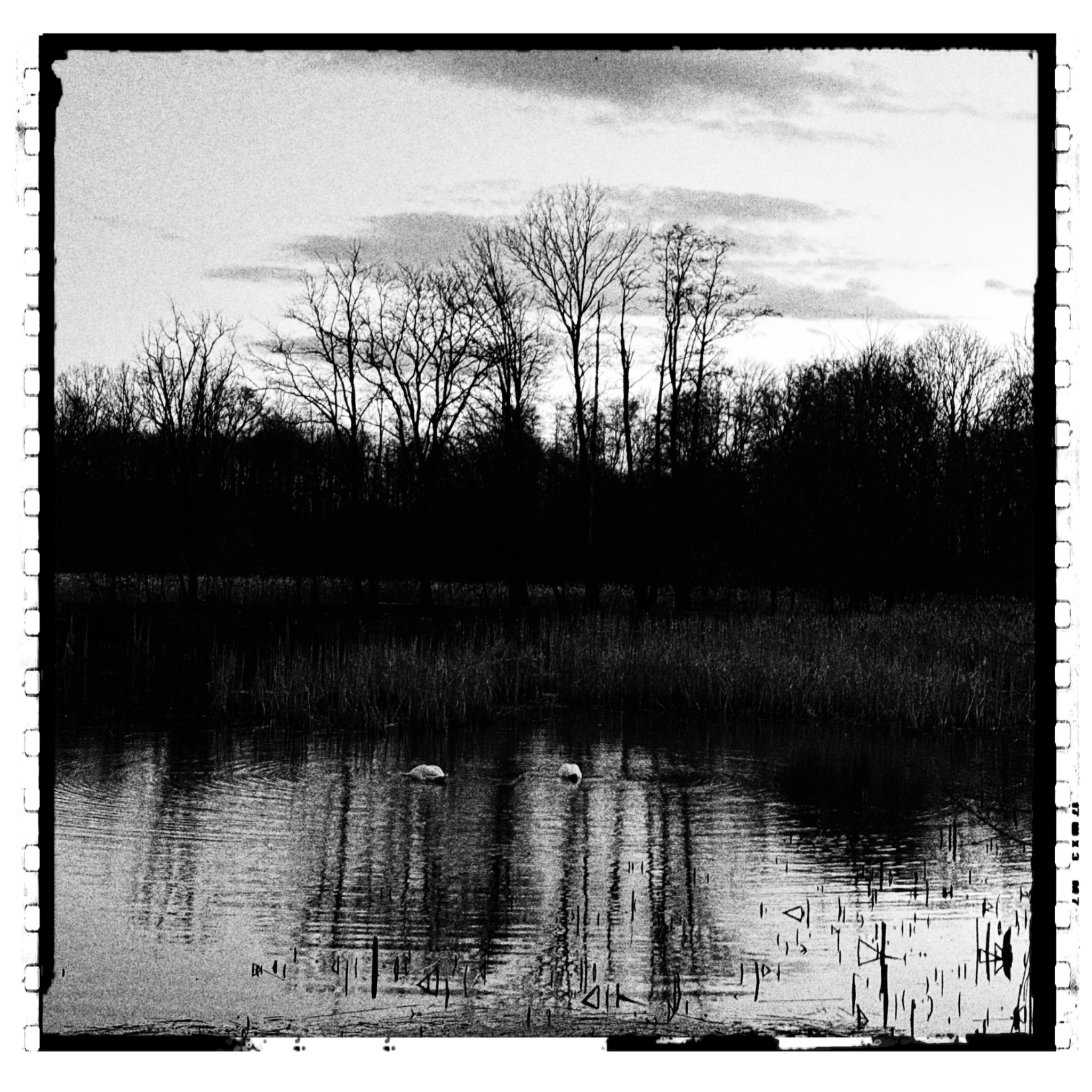 HMOriginal E699C180 166D 42CB 90E6 2754A7095C82