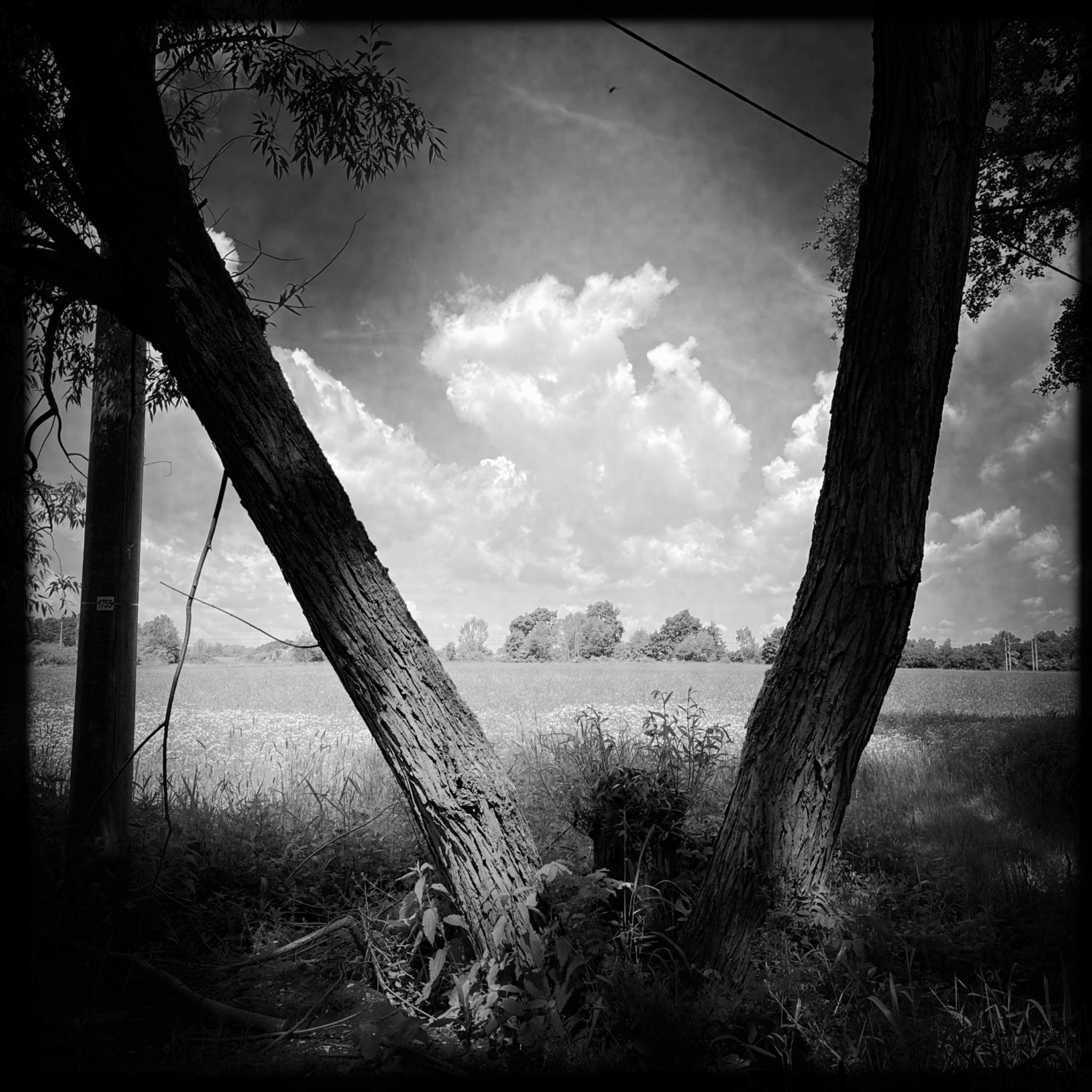 HMOriginal E6CCC0F0 821D 465D 85A1 39219BD3F4DA