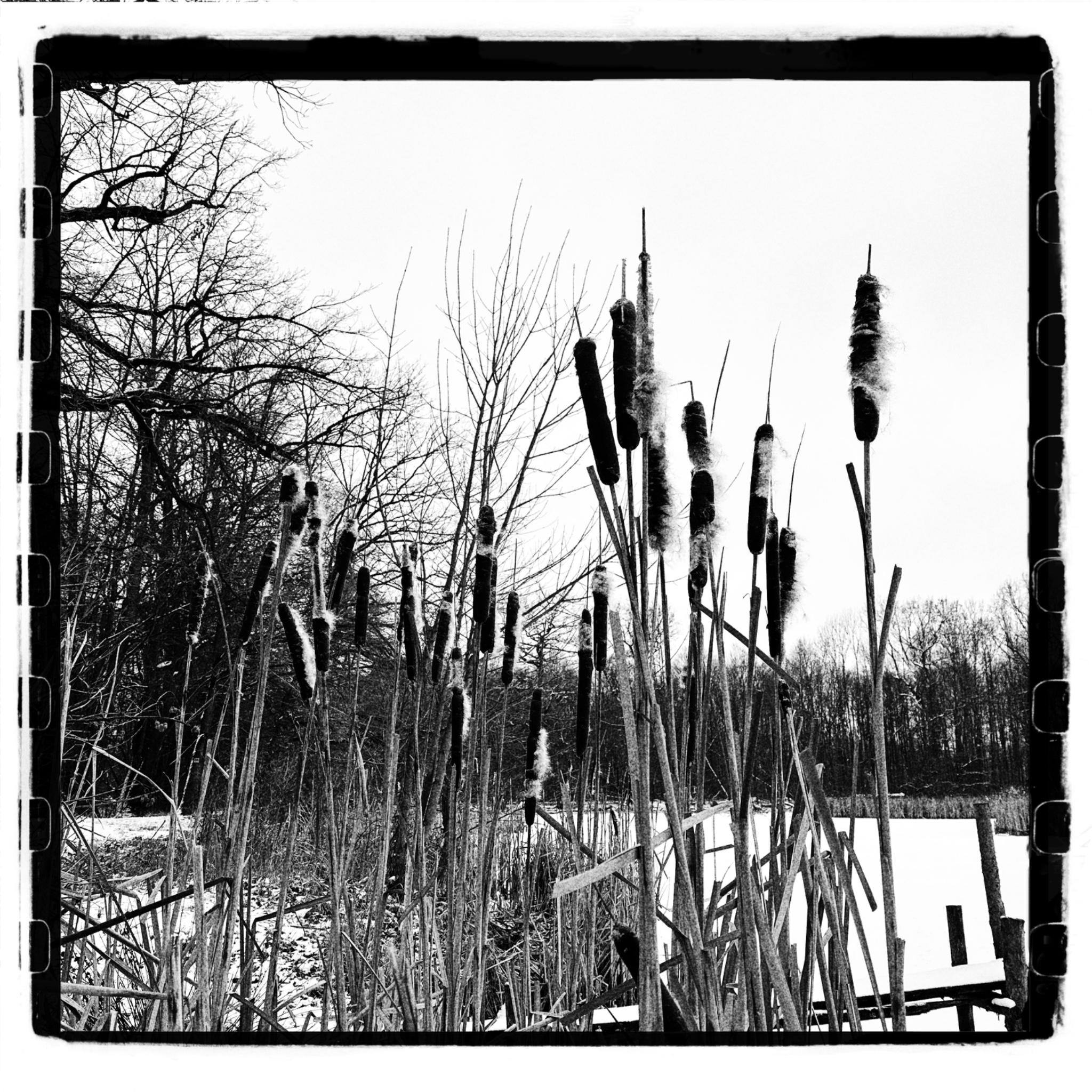 HMOriginal E79556C2 9744 4303 BDA8 4F25928E91EF