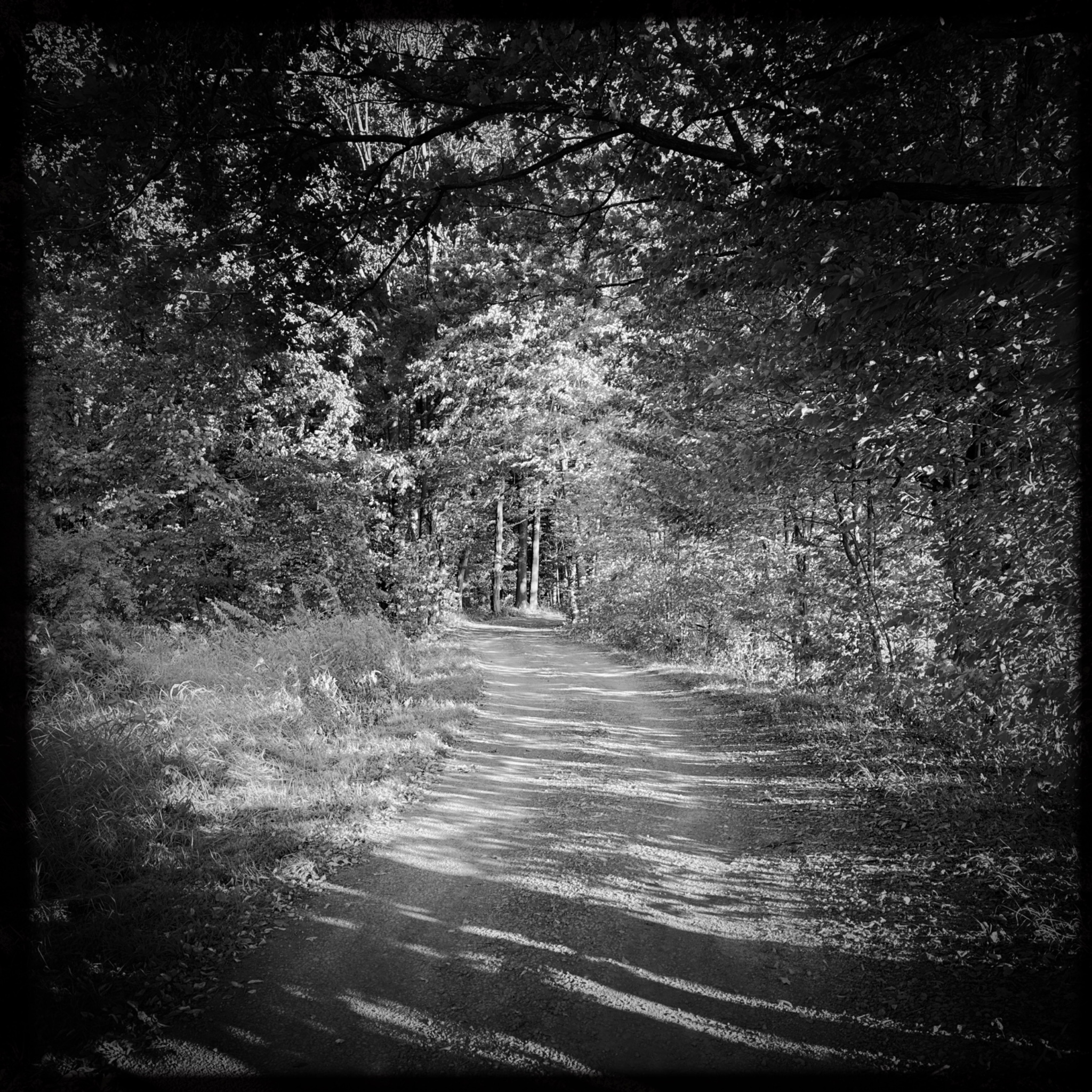 HMOriginal E863CD63 8B9E 4D0B AA7B 53BB10A06596