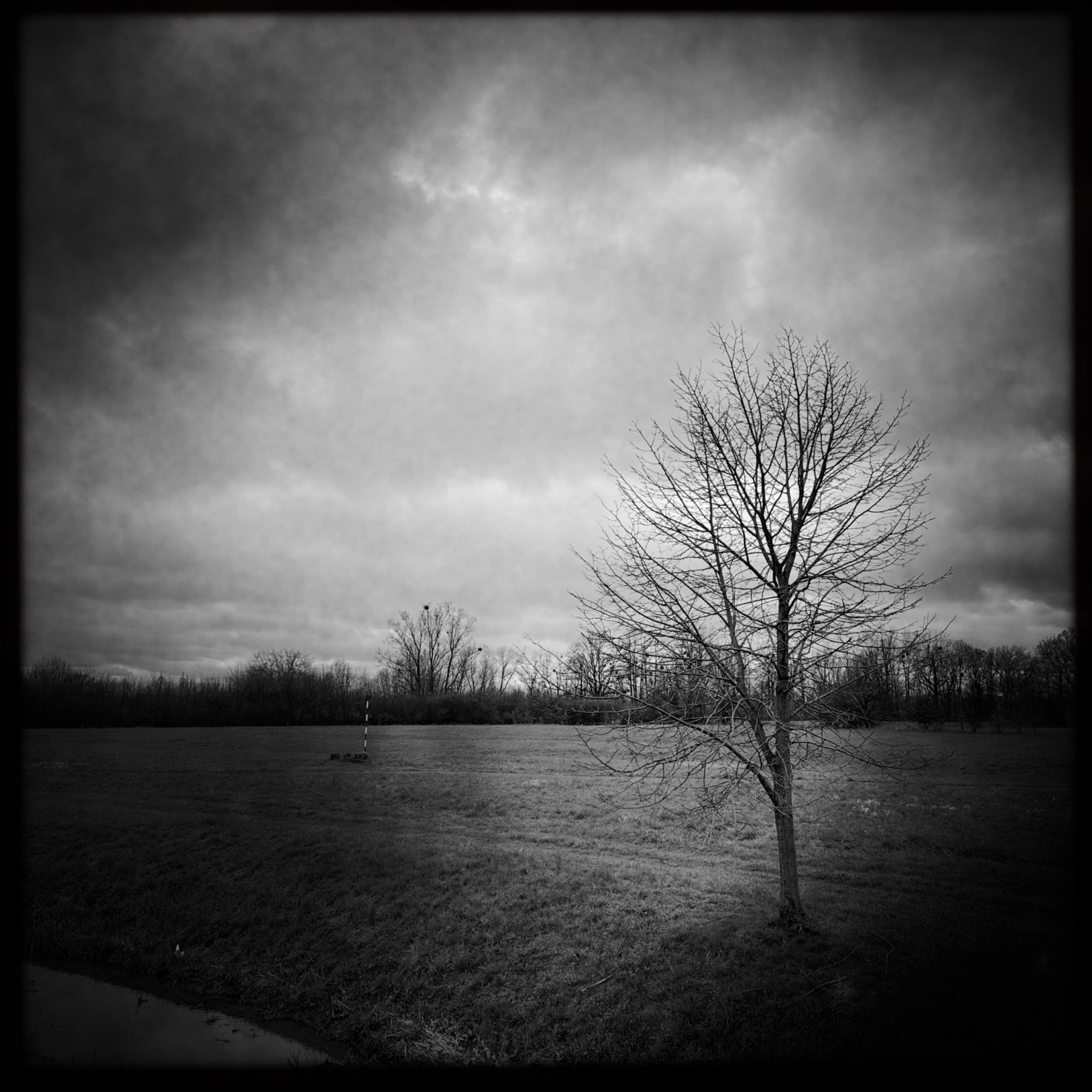 HMOriginal E8D2B523 B18F 4FED 82B6 FA0F096F74DE