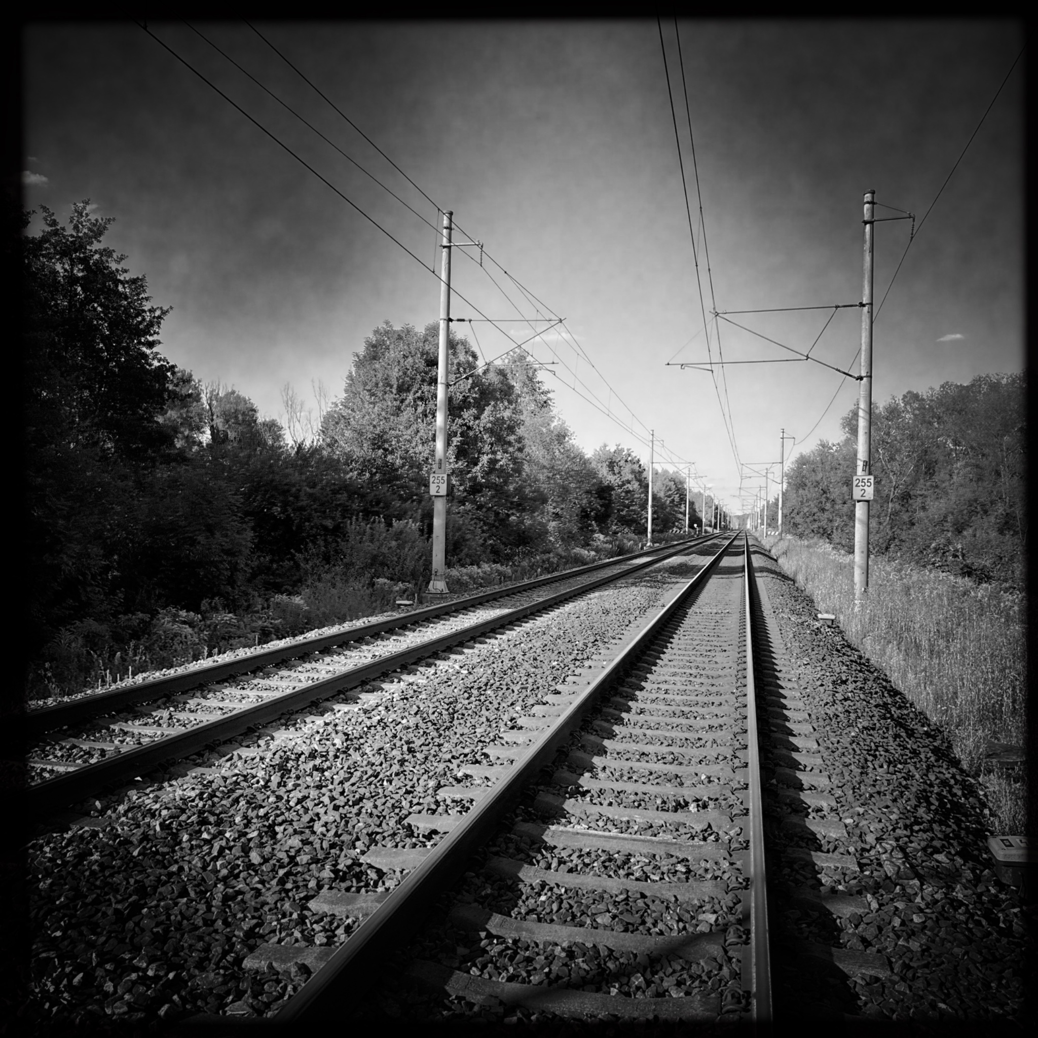 HMOriginal E95E71EC B45B 4BD0 A41A E151ECFF1EF6