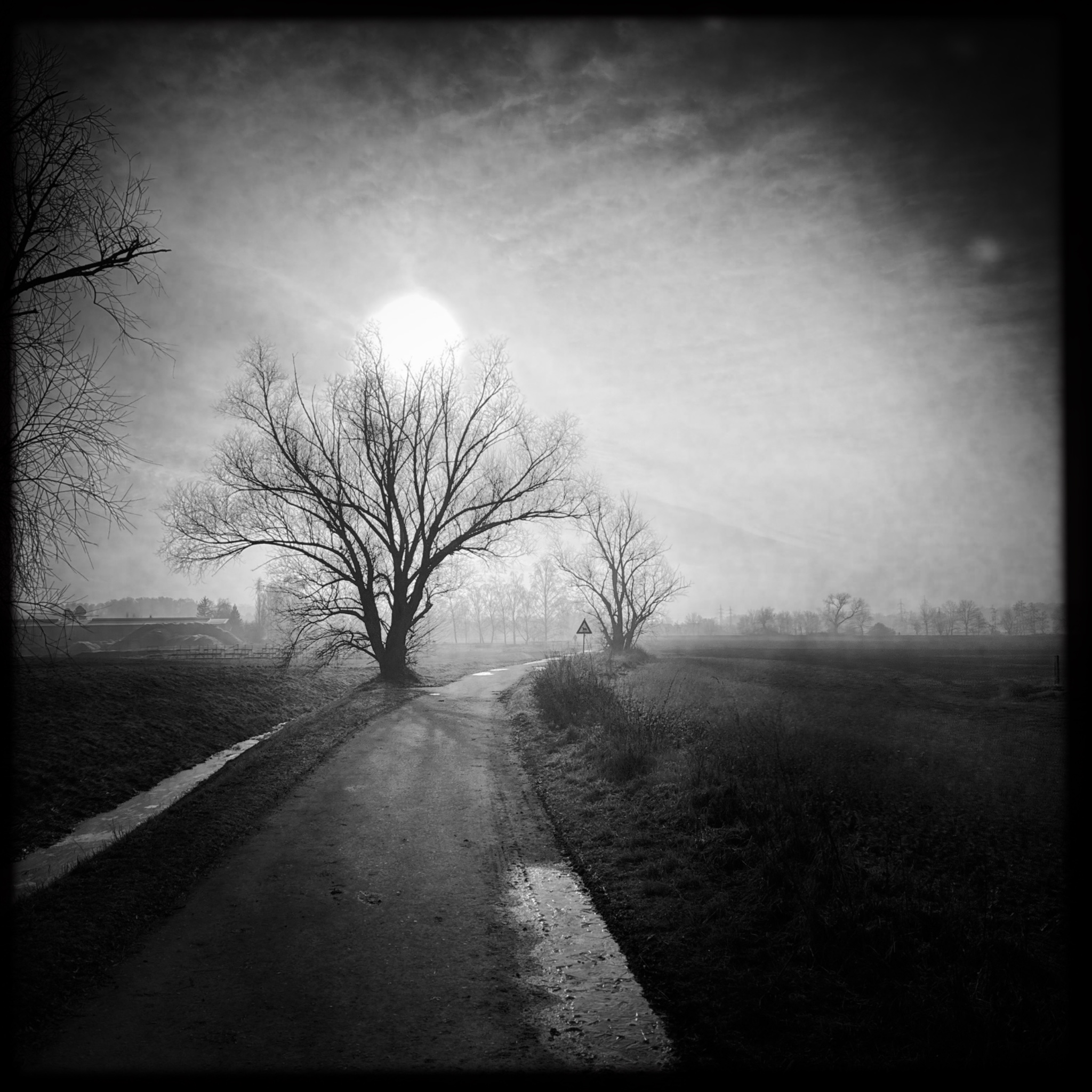 HMOriginal E9E4180C 2FA5 4F8C BD1B C681CE7ABF41