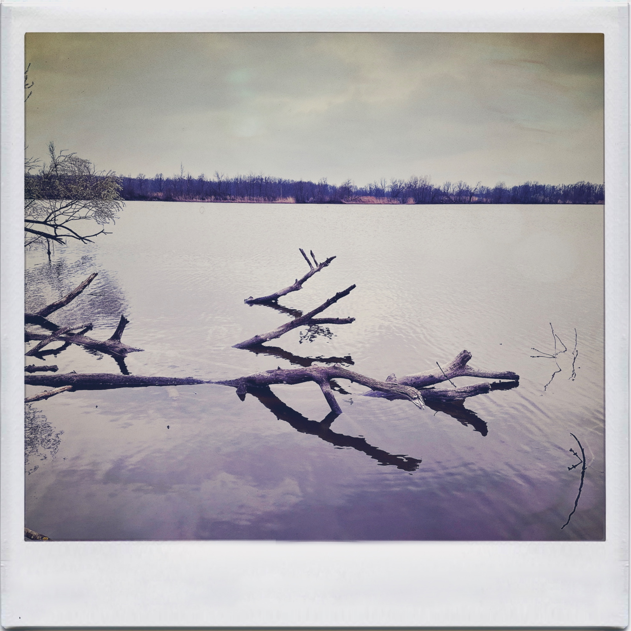 HMOriginal EA9E56E9 BB90 4B86 B902 2AA64CA32BD5