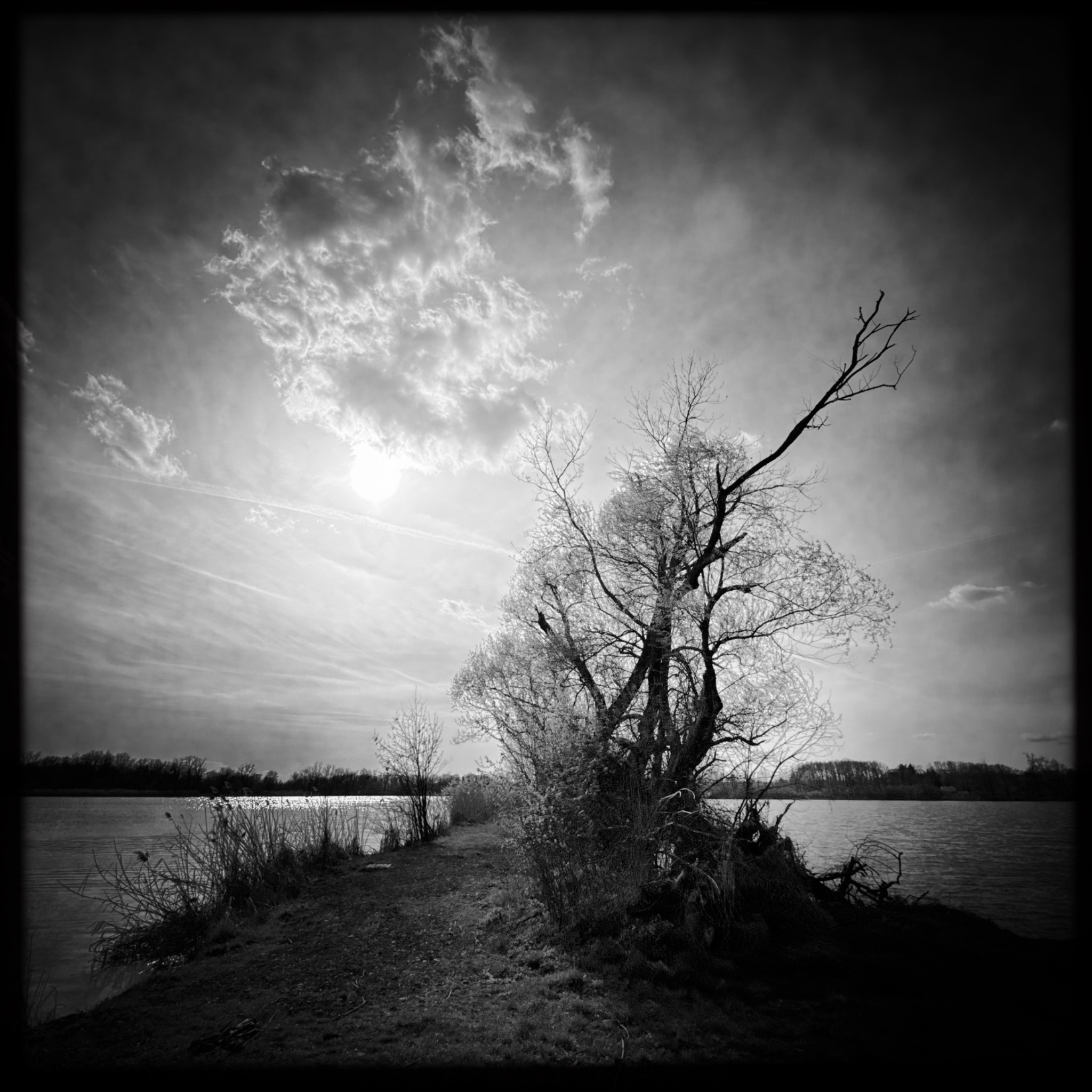 HMOriginal EAB31BA9 CD6A 4243 B689 2595978F91CD