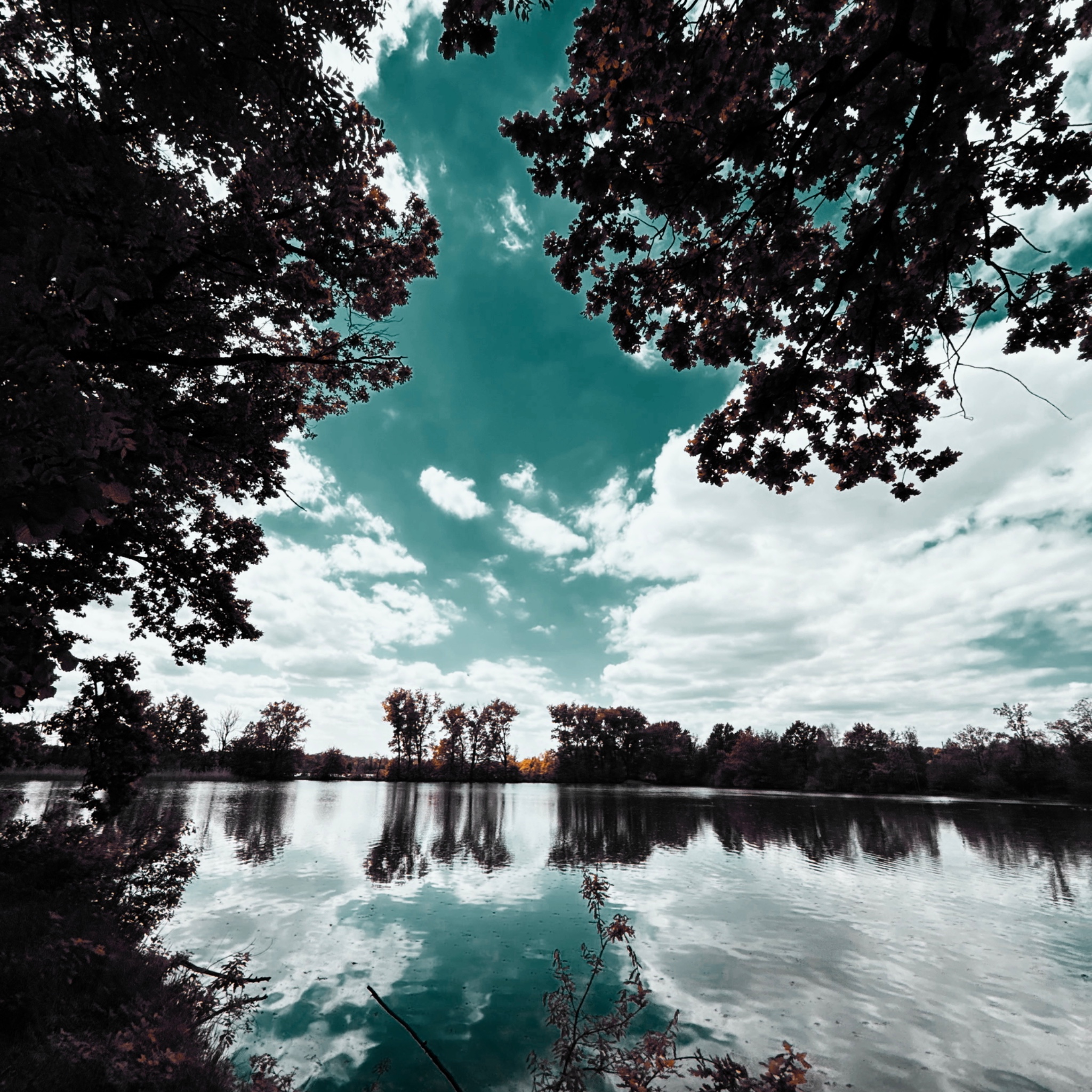 HMOriginal EADEF028 6E7E 48CD 9283 9FC3C617D0AB