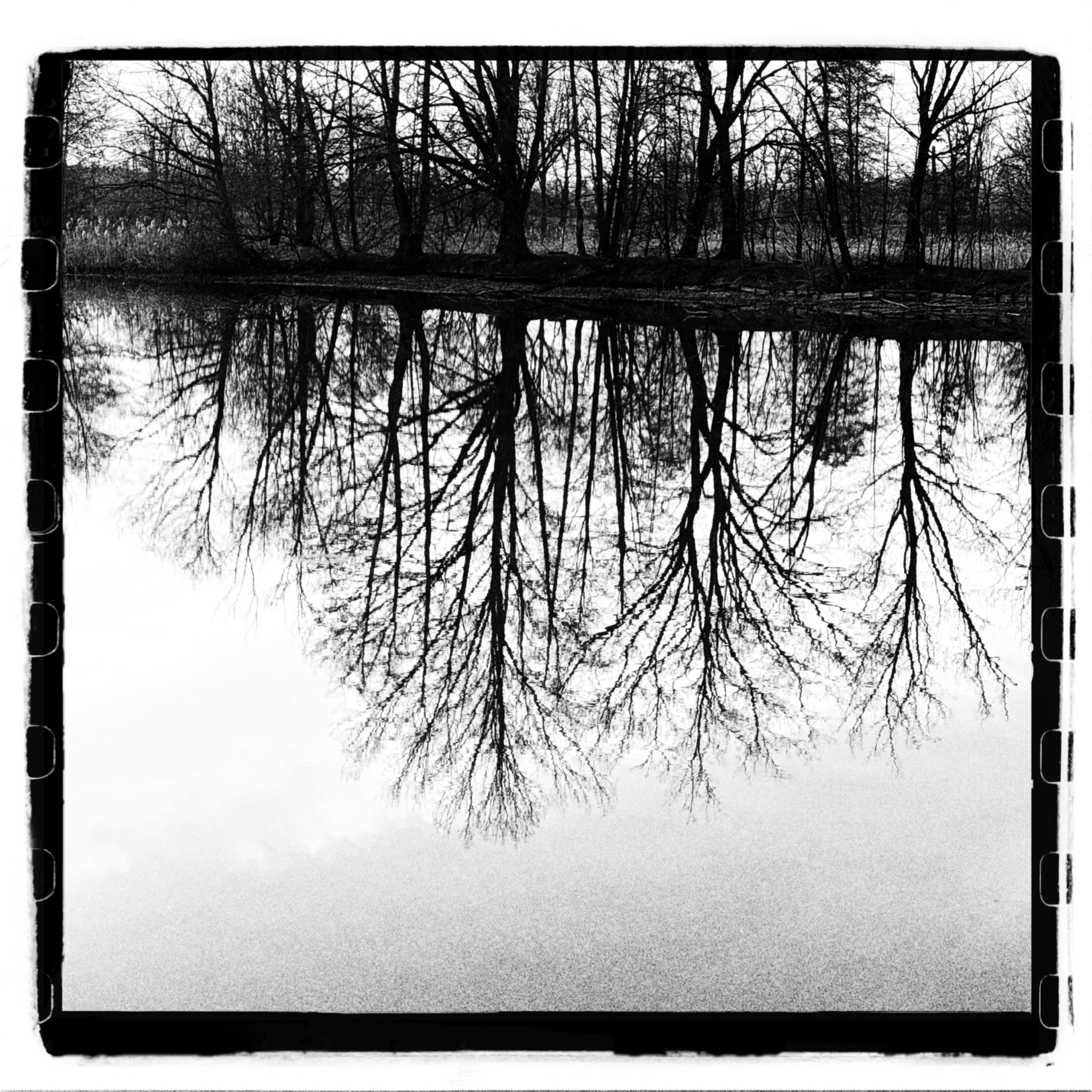 HMOriginal ED133E44 F3EA 4454 BDD6 1E4B19EAAF60